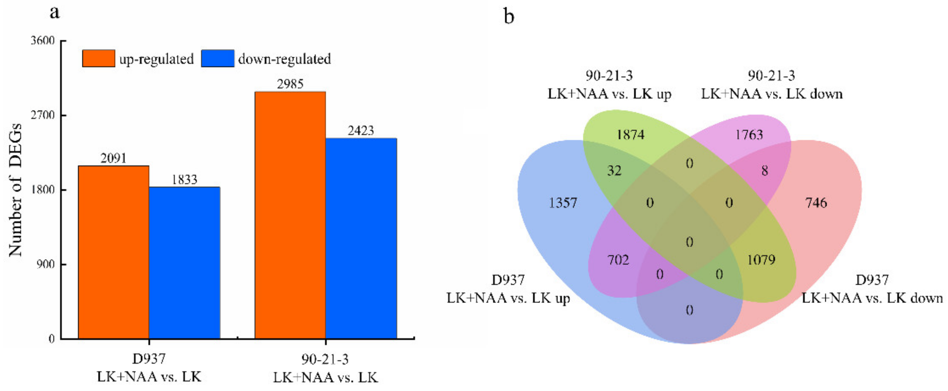 Agronomy 12 01318 g003 550