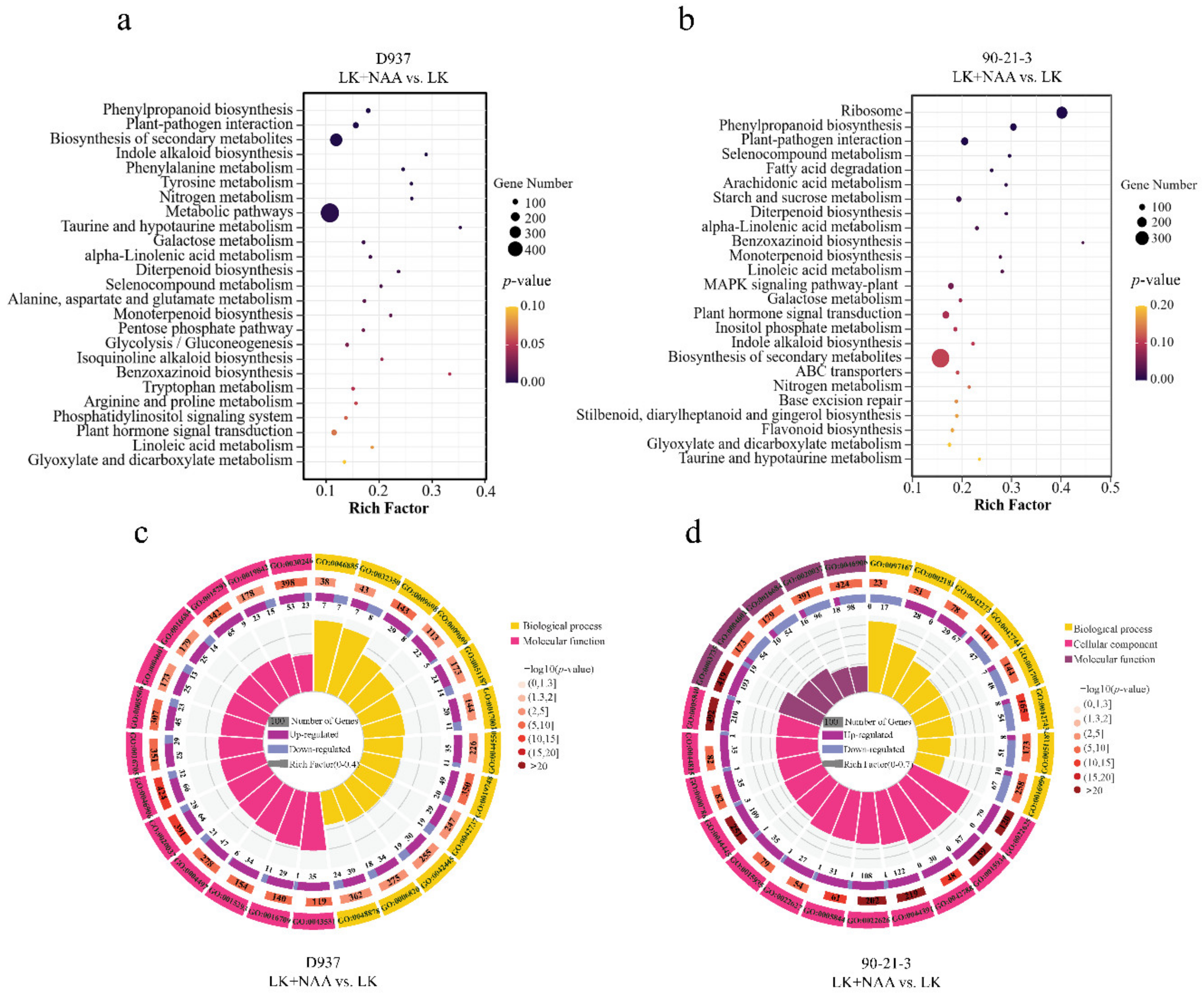 Agronomy 12 01318 g004 550
