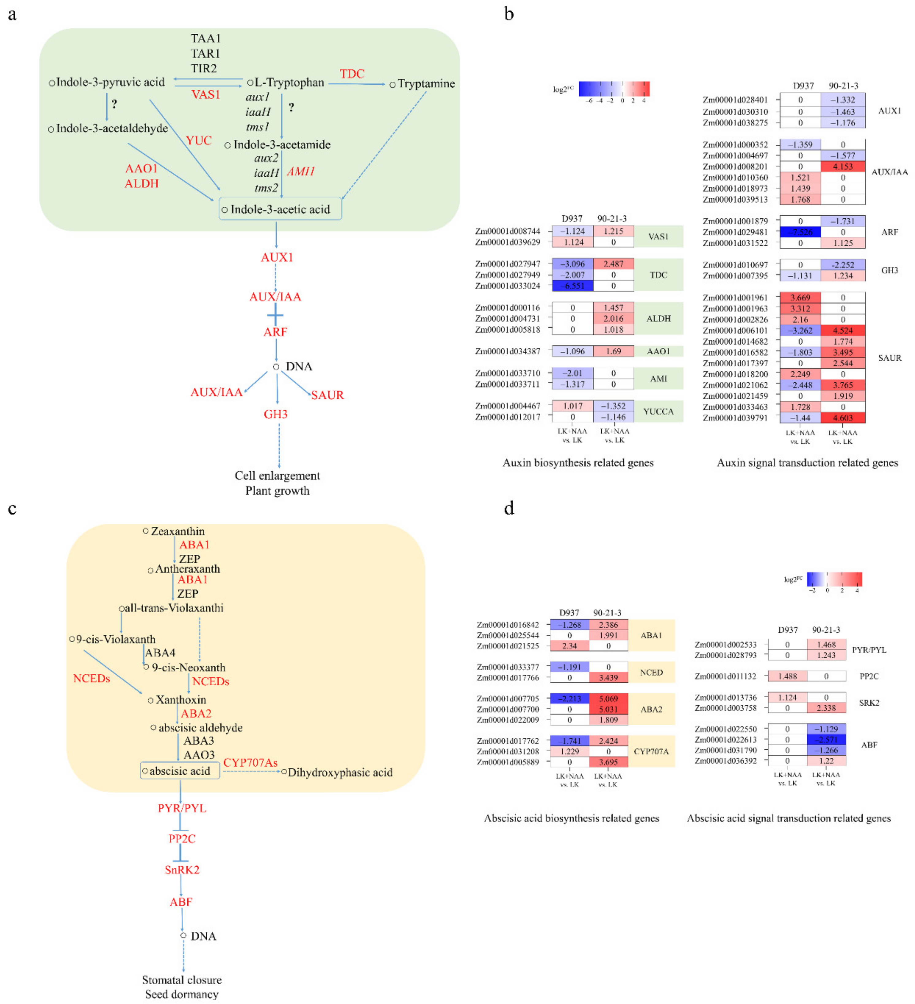 Agronomy 12 01318 g005 550