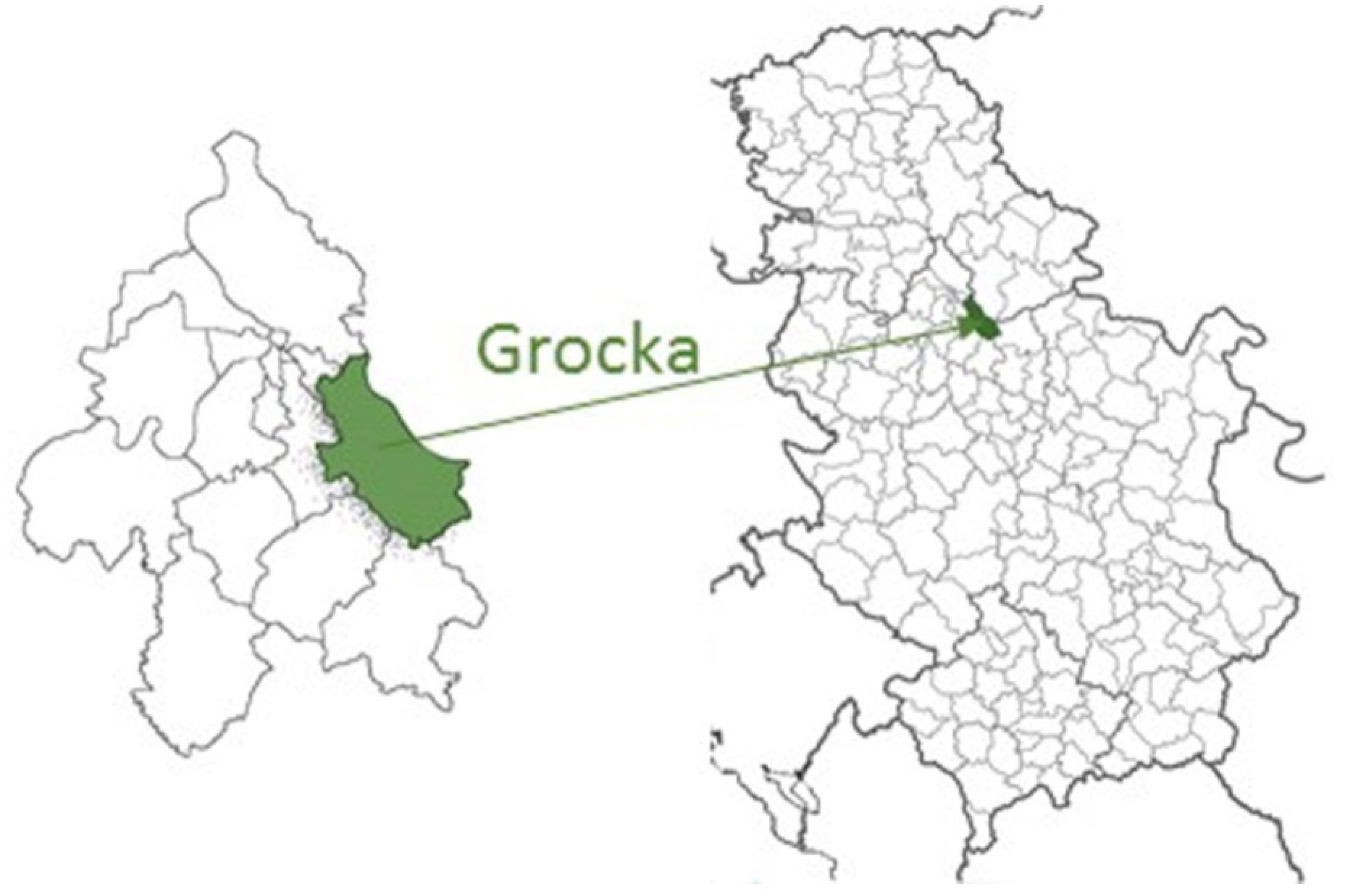 Agronomy 12 01321 g001