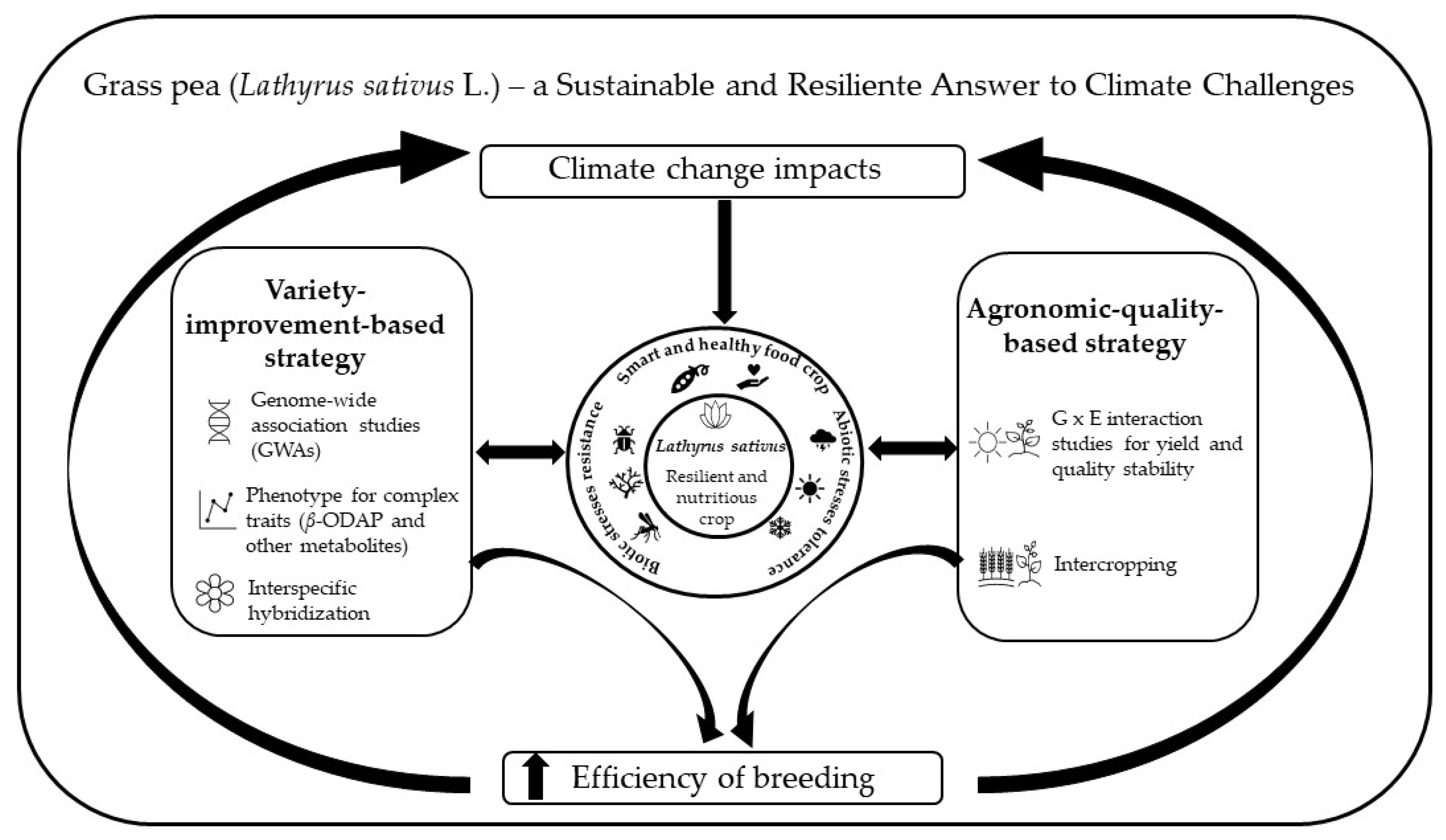 Agronomy 12 01324 g001