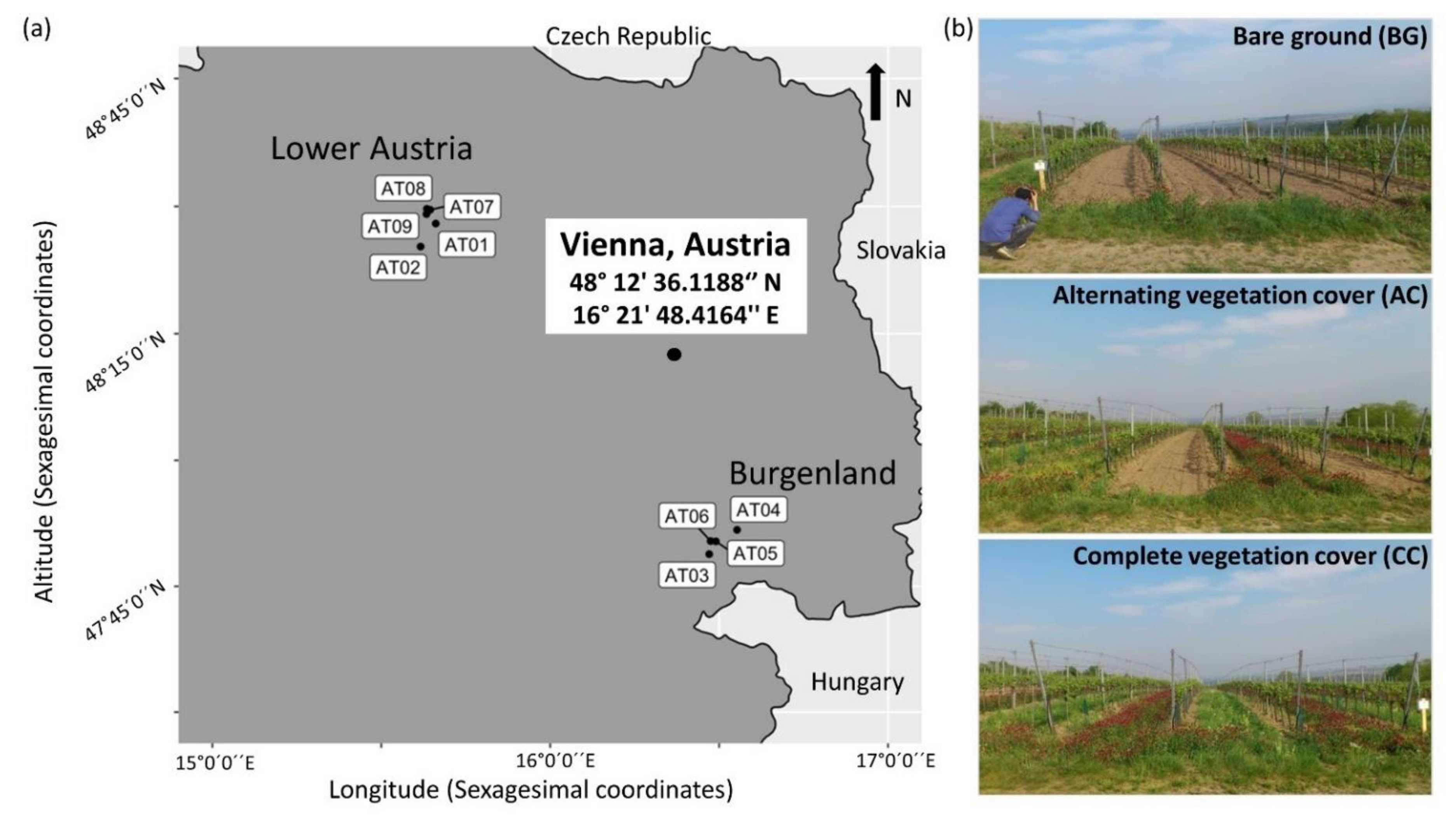 Agronomy 12 01328 g001 550