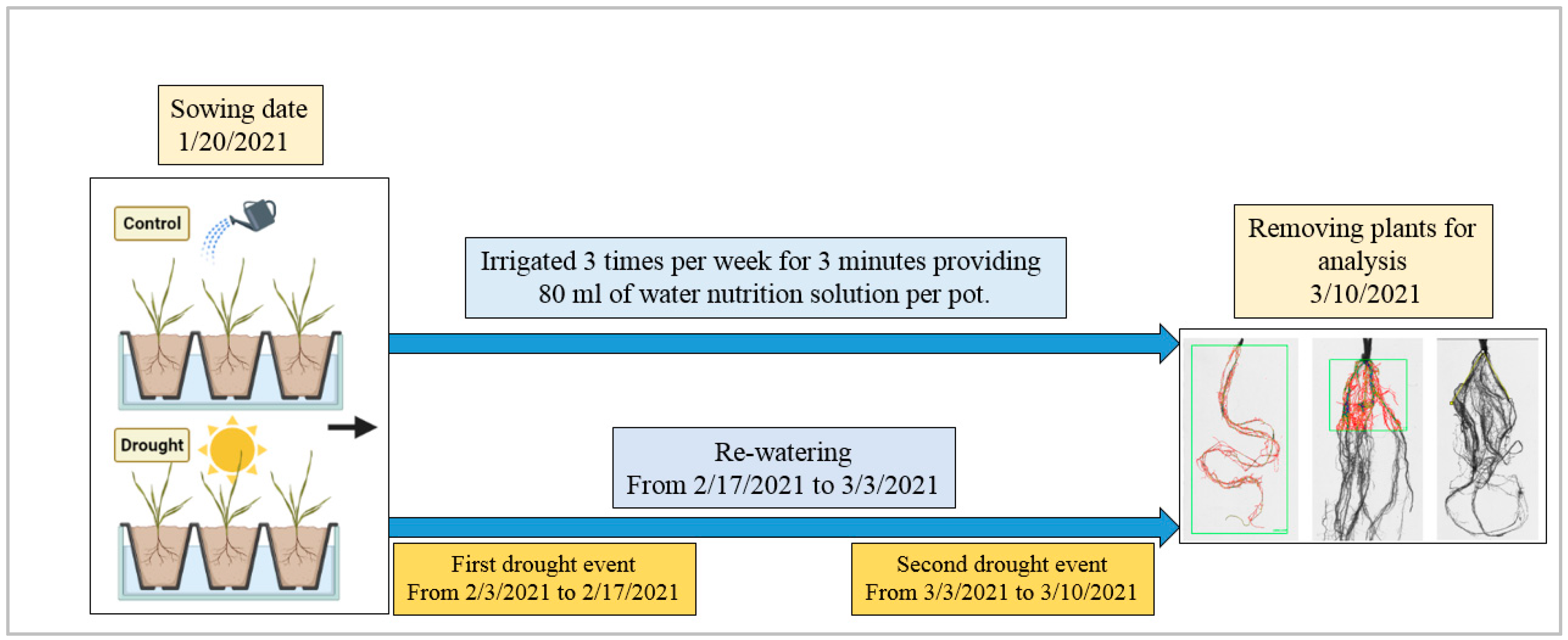 Agronomy 12 01329 g001 550