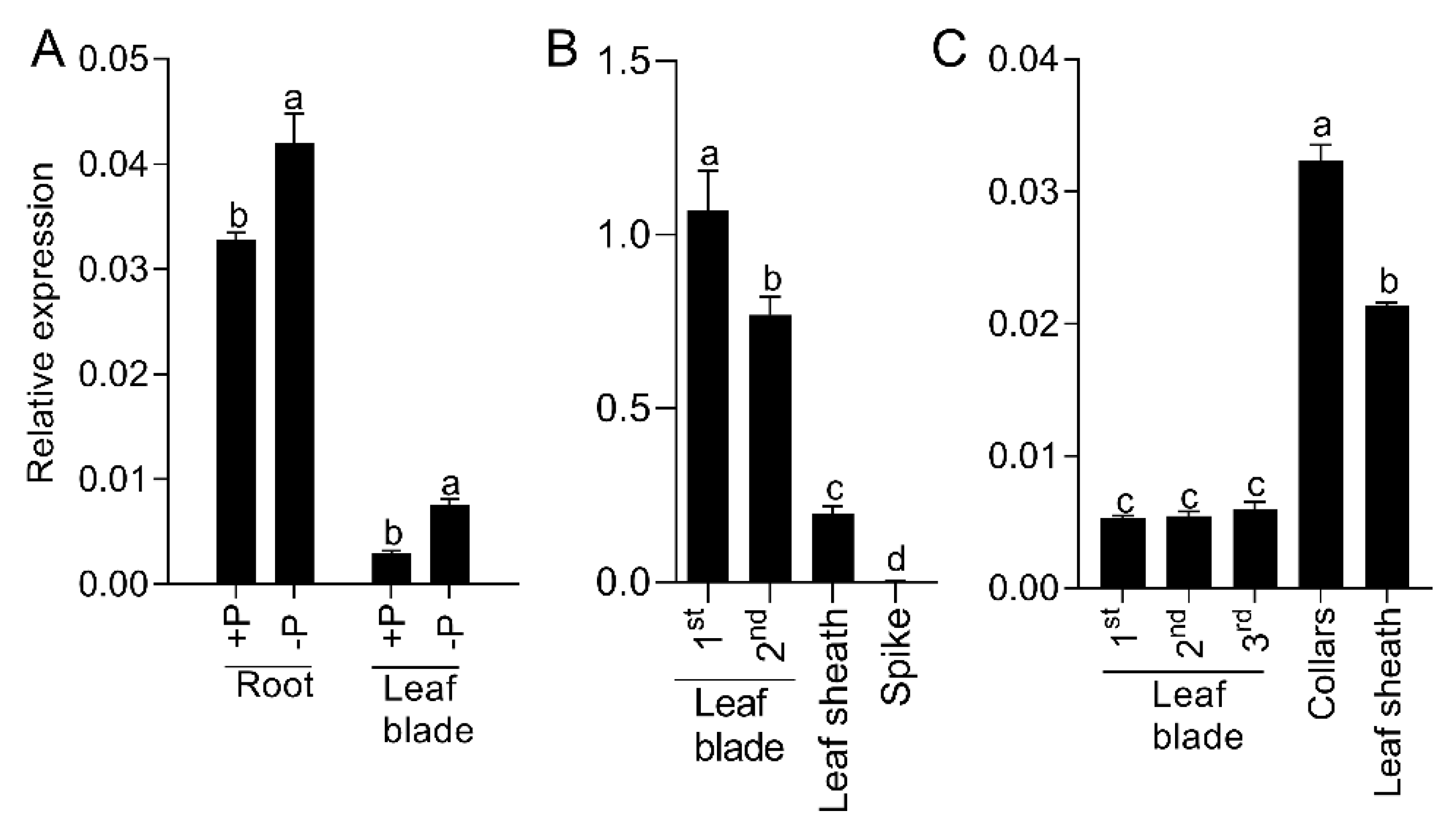 Agronomy 12 01332 g001