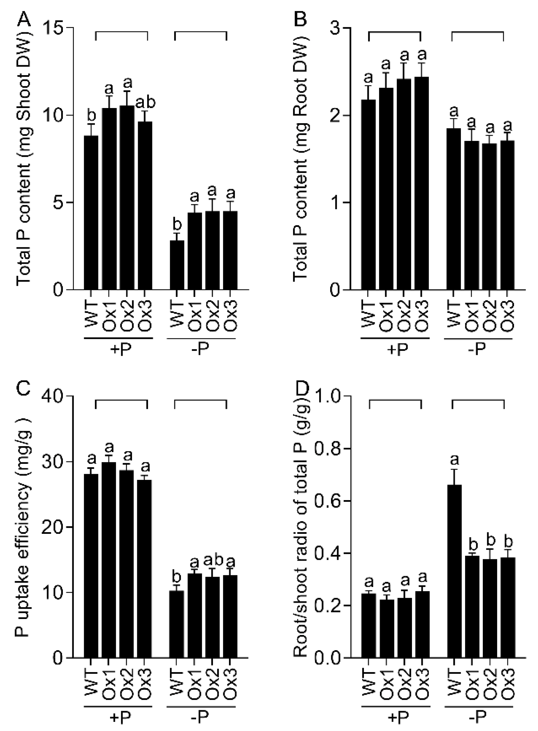 Agronomy 12 01332 g003