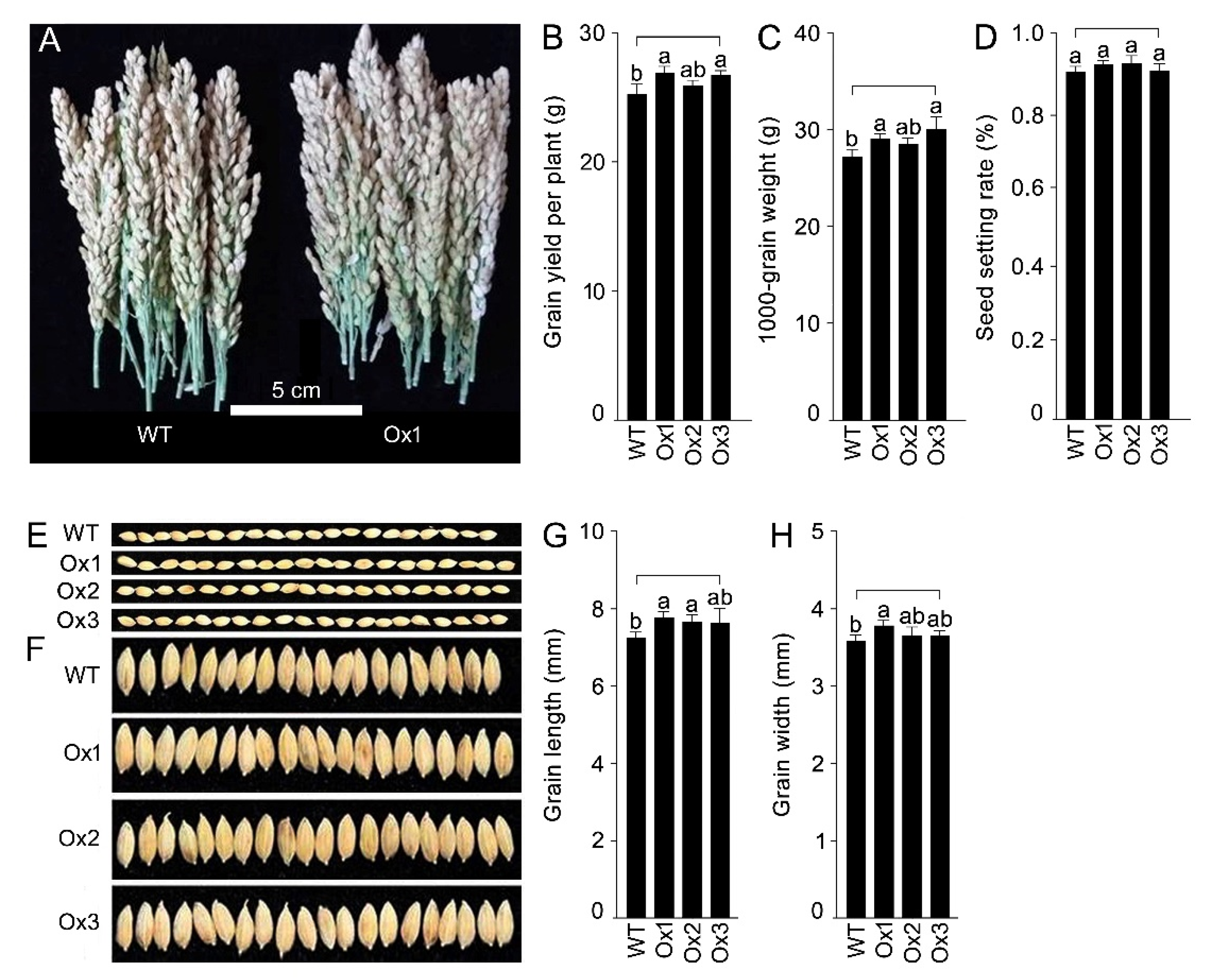 Agronomy 12 01332 g007