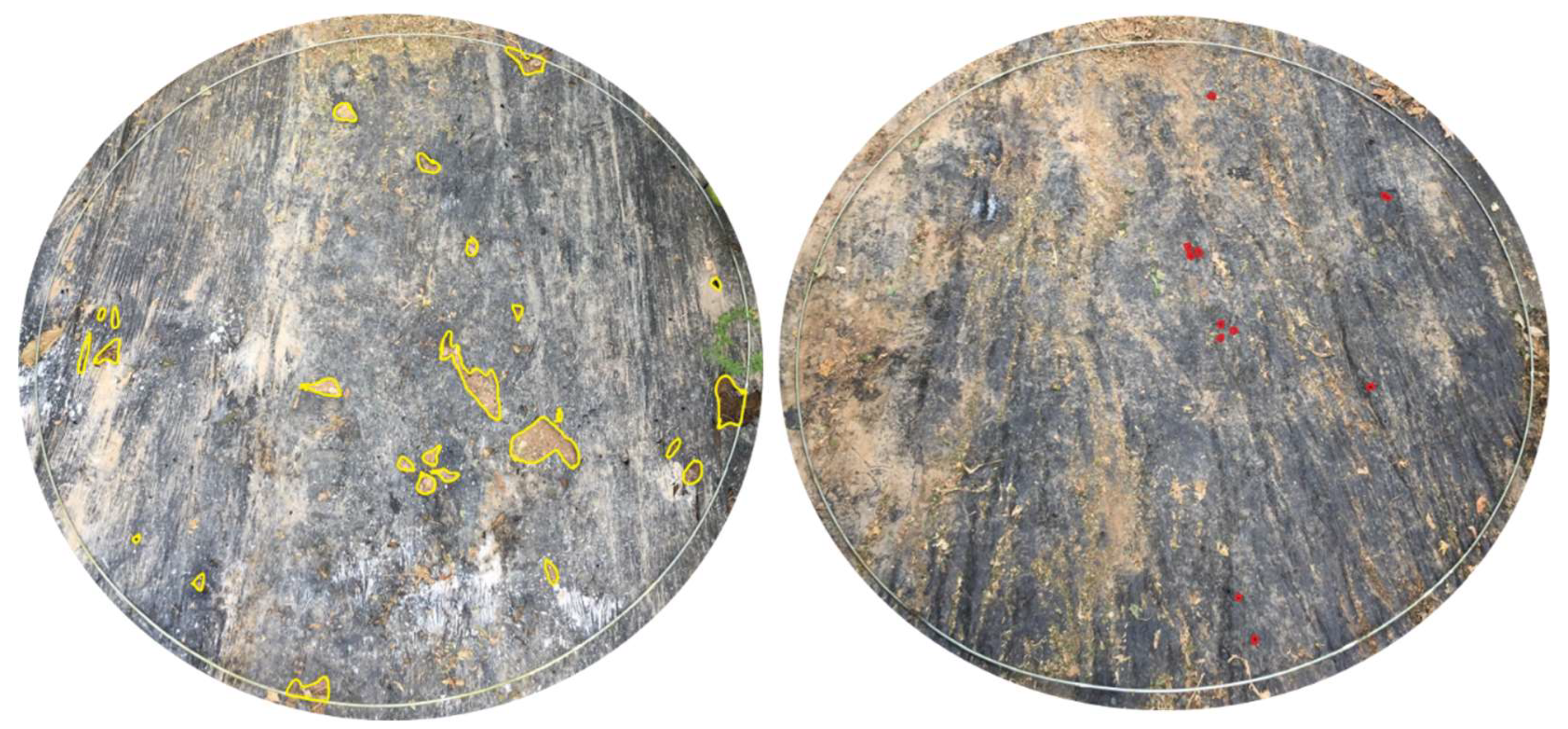 Agronomy 12 01333 g008 Agronomy 12 01333 g008