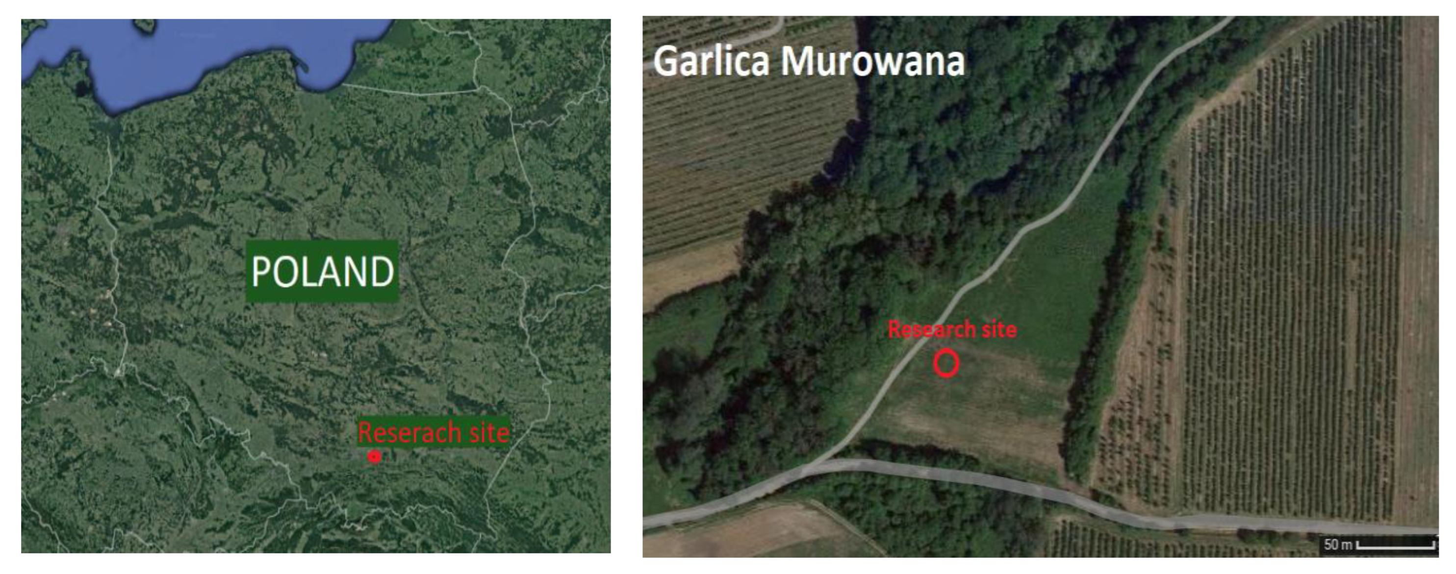 Agronomy 12 01335 g003 550