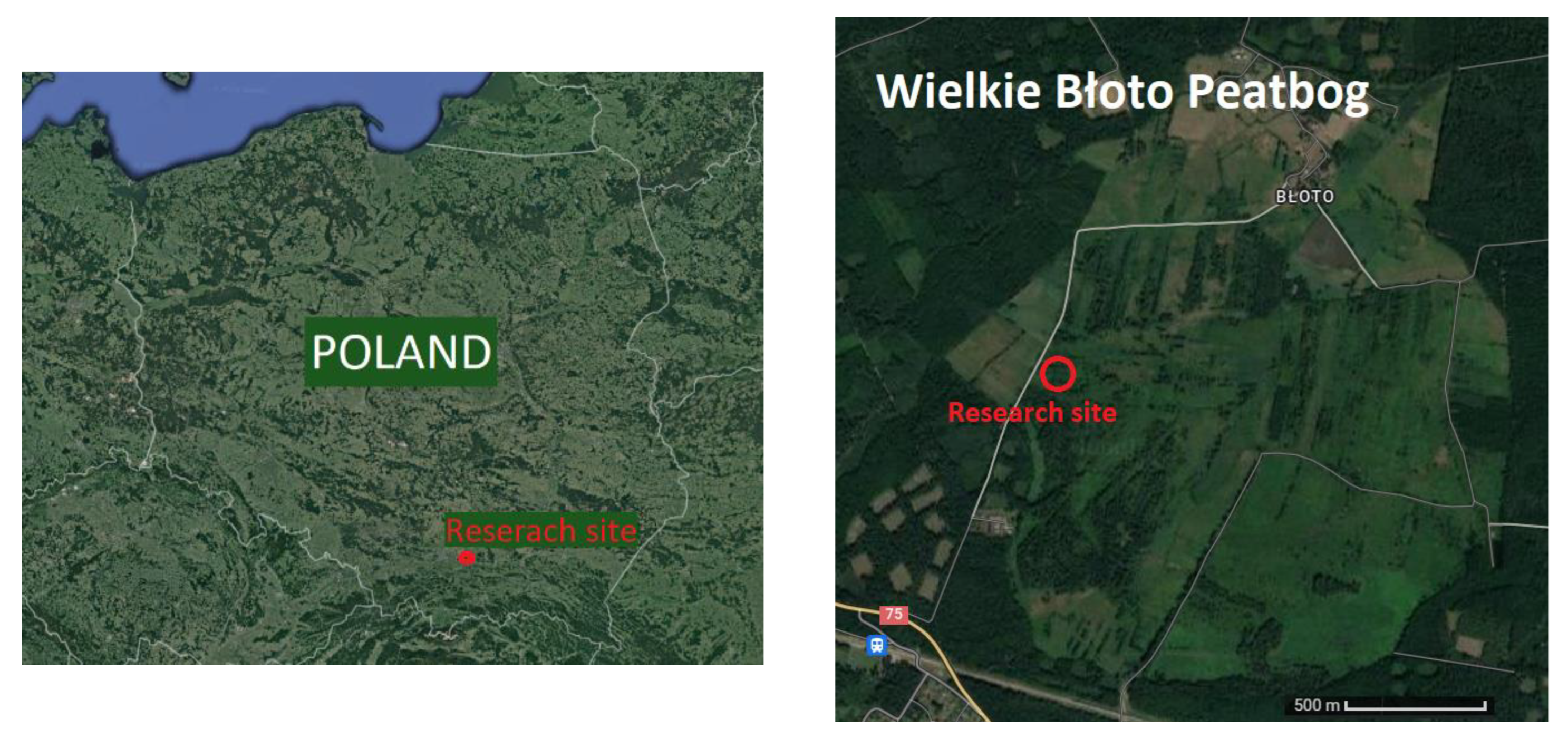 Agronomy 12 01335 g004 550