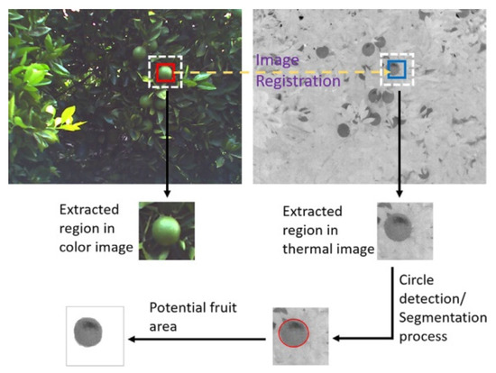 Advance of Target Visual Information Acquisition Technology