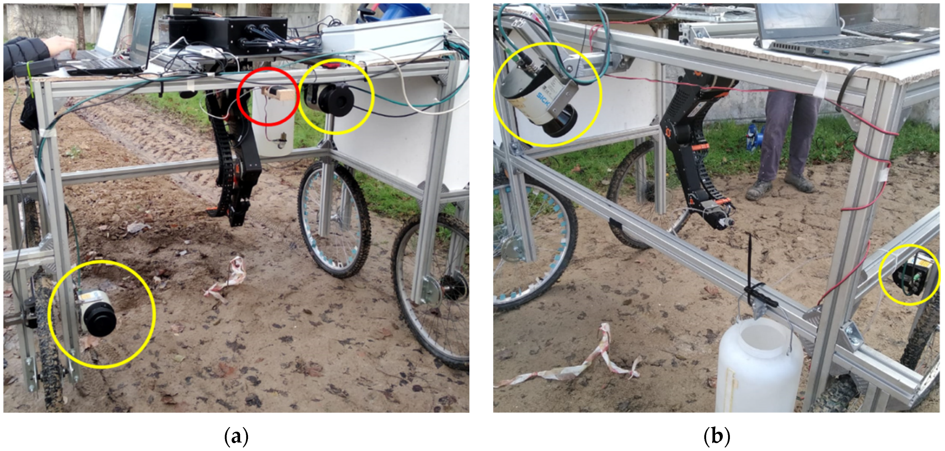 Agronomy 12 01339 g001