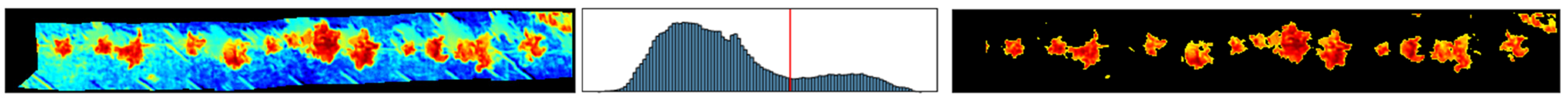 Agronomy 12 01339 g004