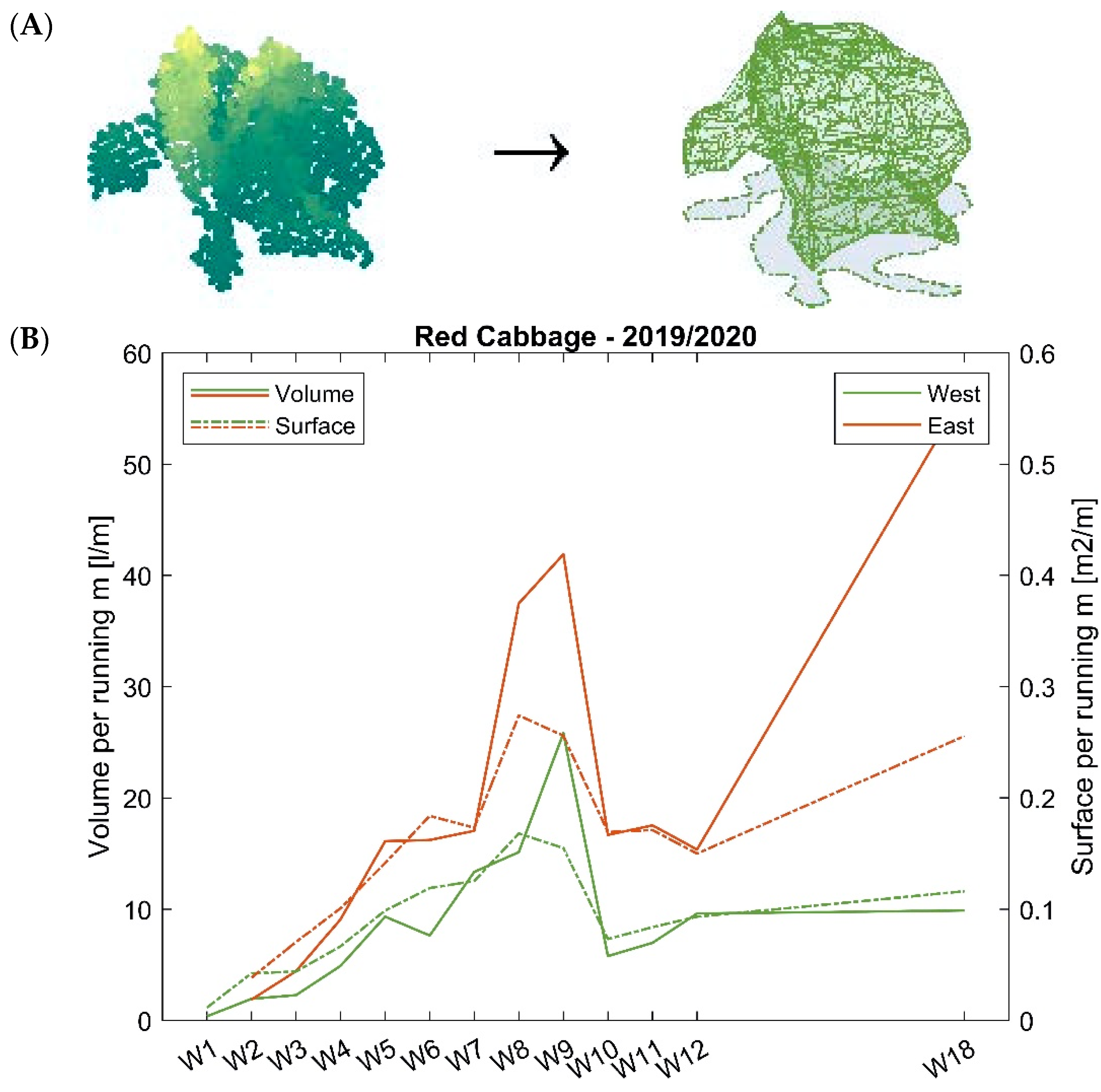 Agronomy 12 01339 g009