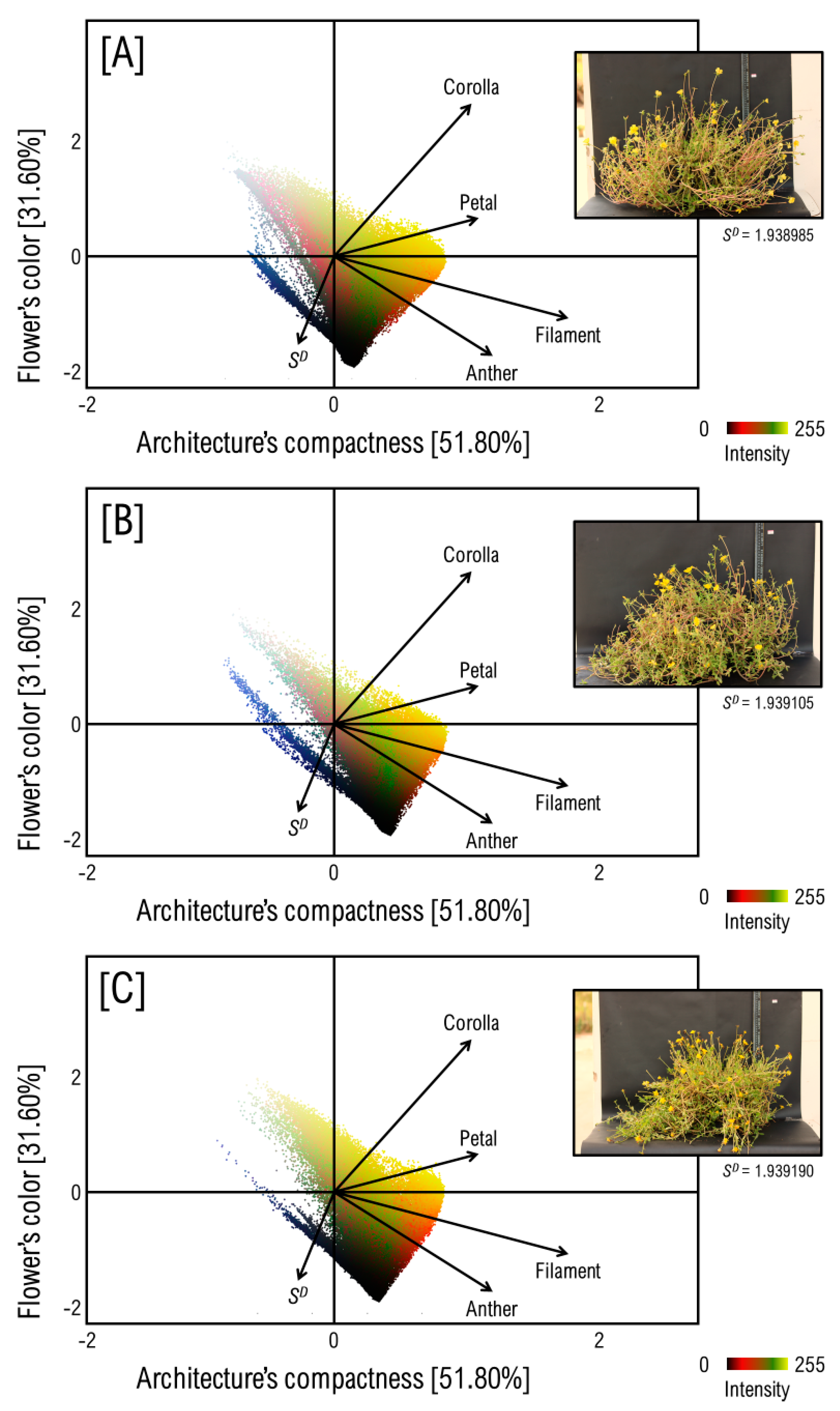 Agronomy 12 01342 g004