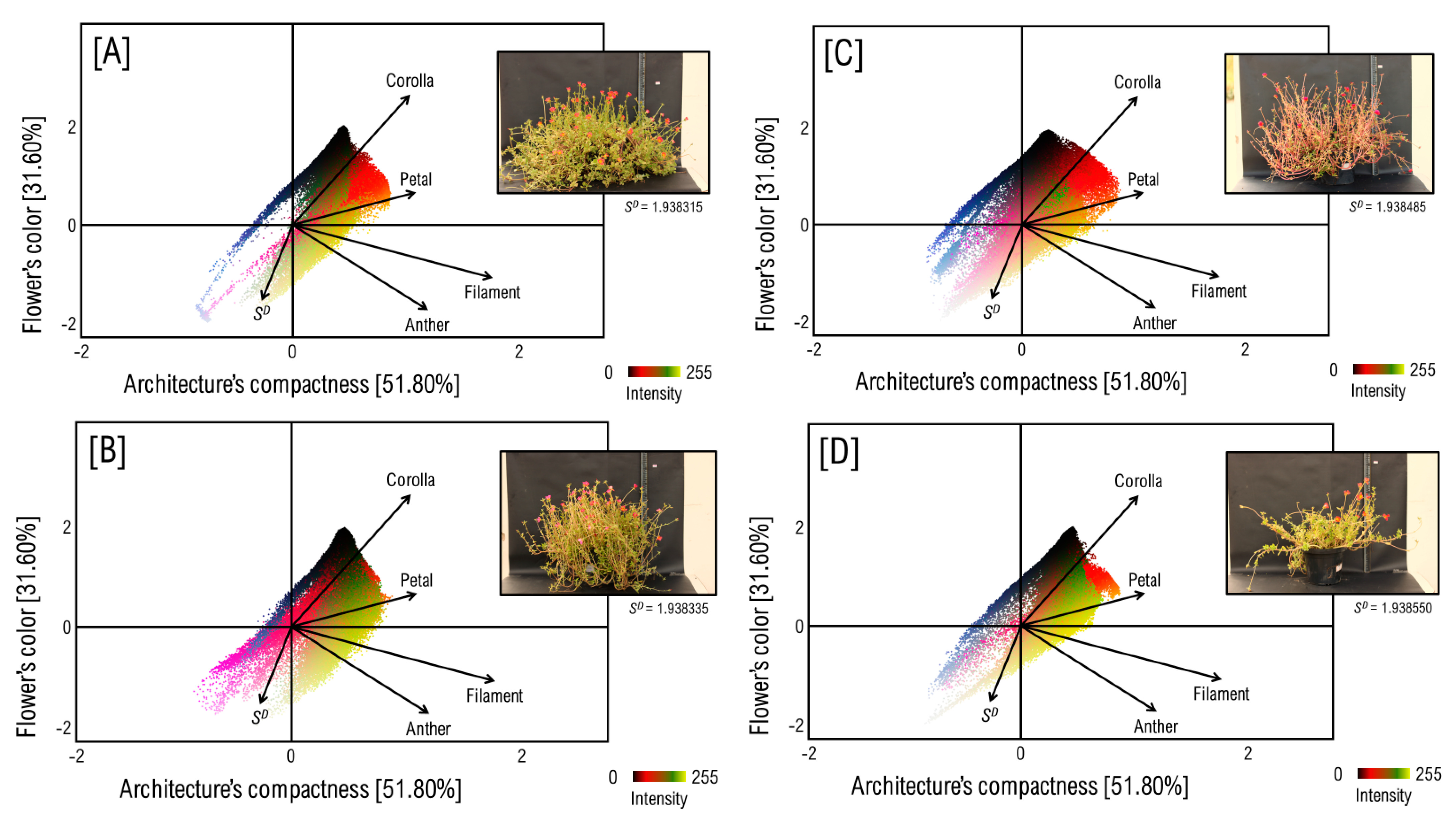 Agronomy 12 01342 g005