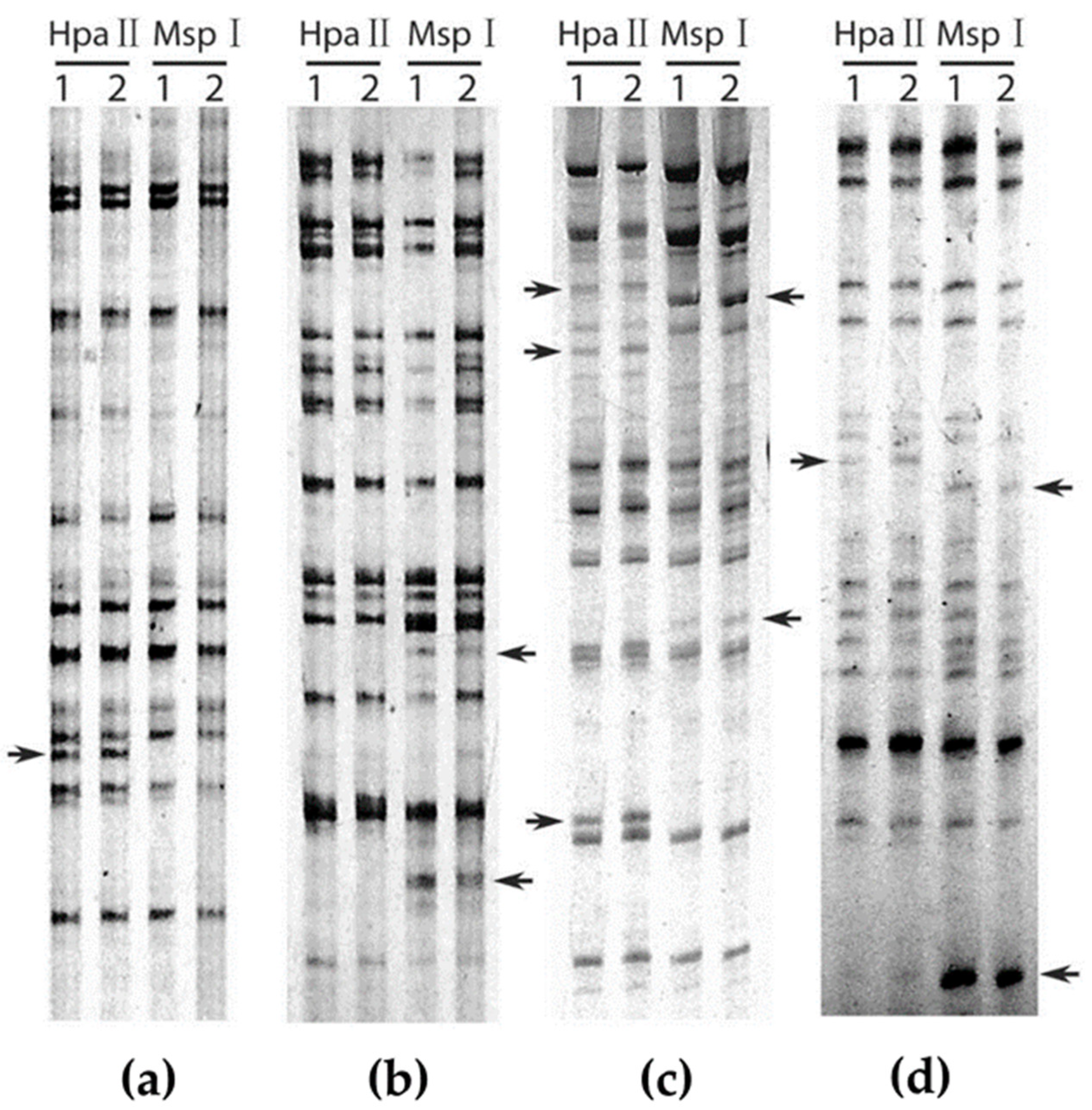Agronomy 12 01347 g001 550