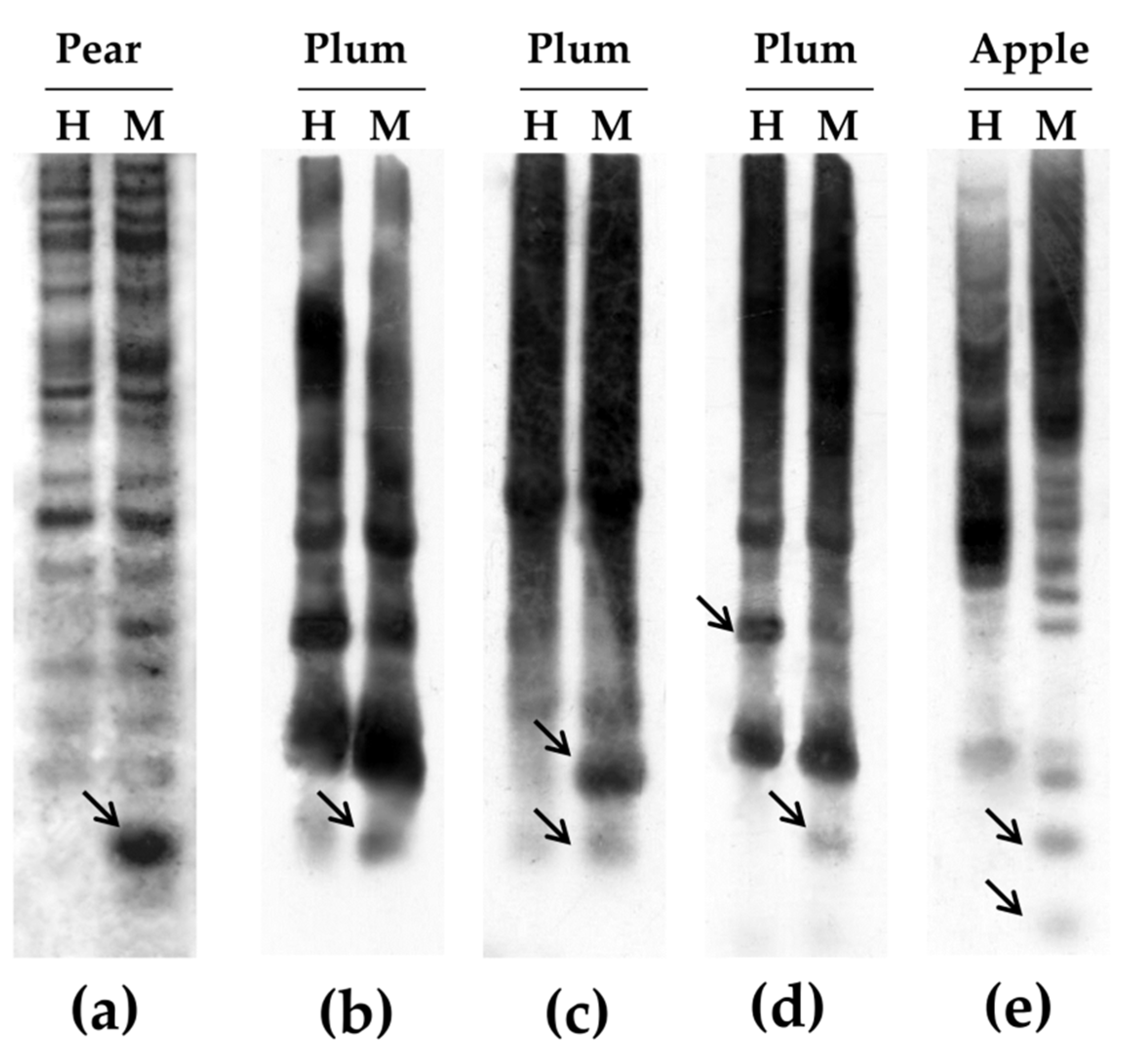 Agronomy 12 01347 g003 550