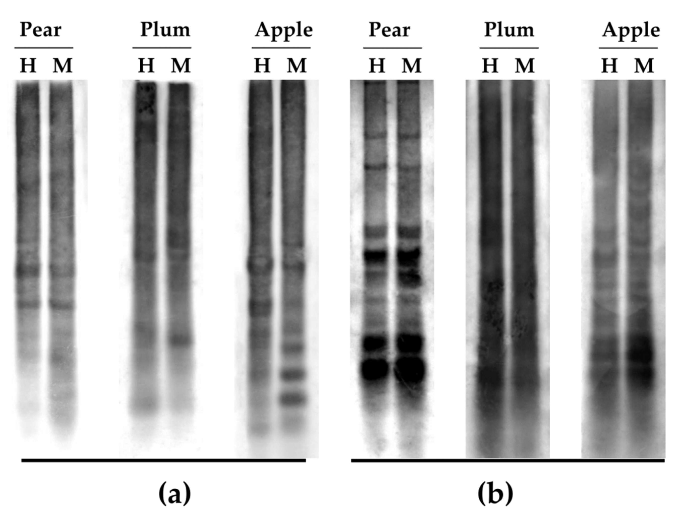 Agronomy 12 01347 g004 550