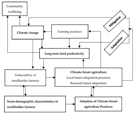 Climate-Smart Farming Practices for Smallholders