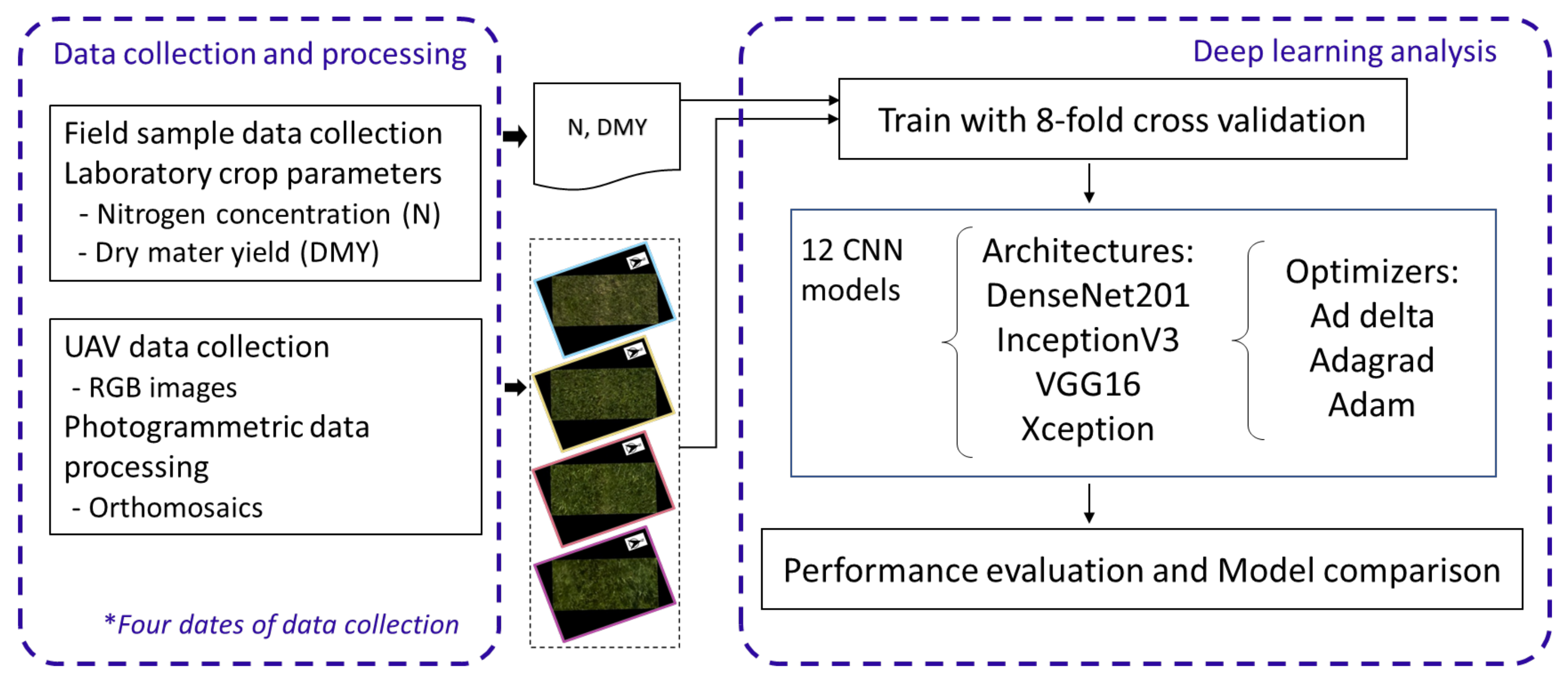 Agronomy 12 01352 g001 550
