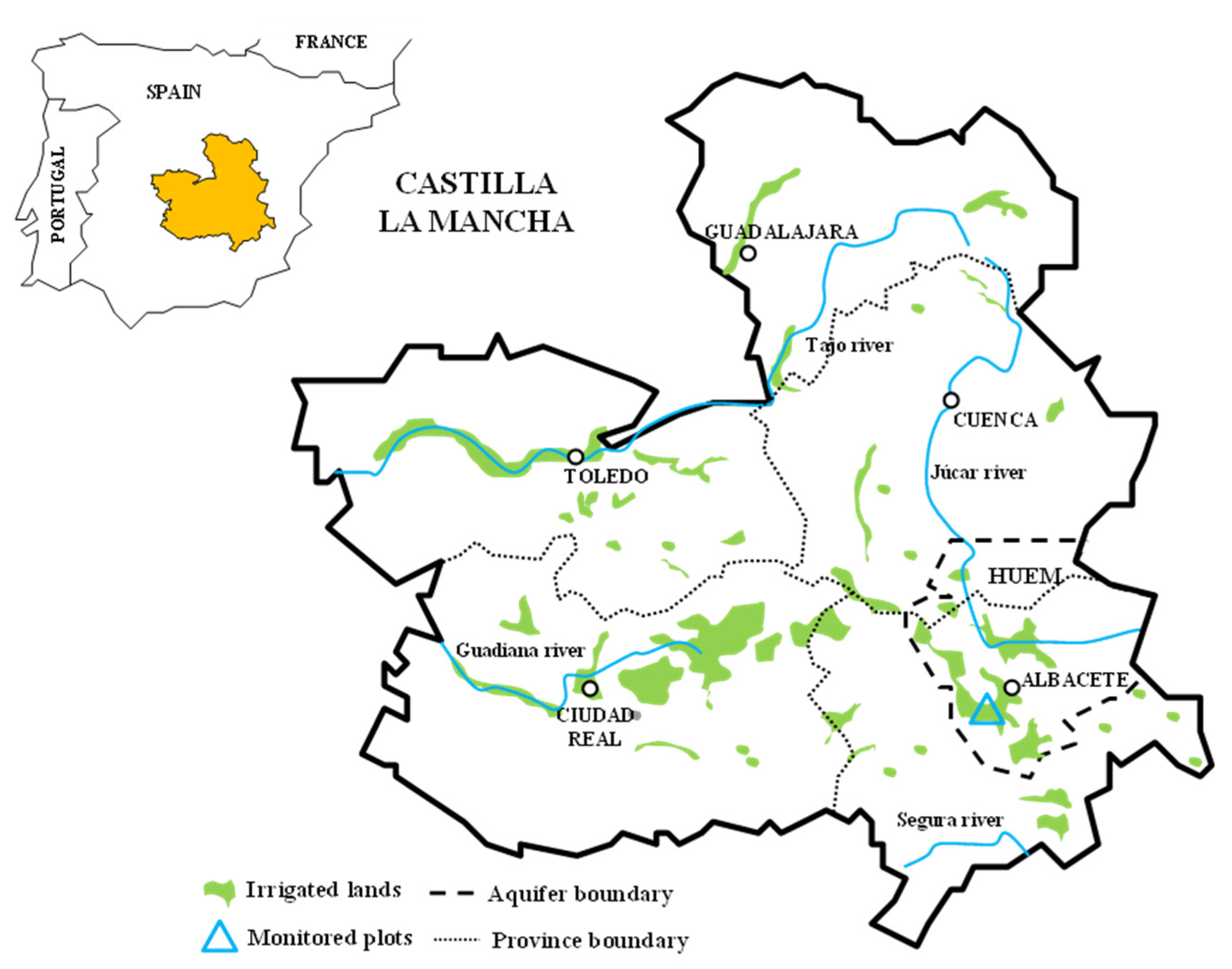 Agronomy 12 01358 g001