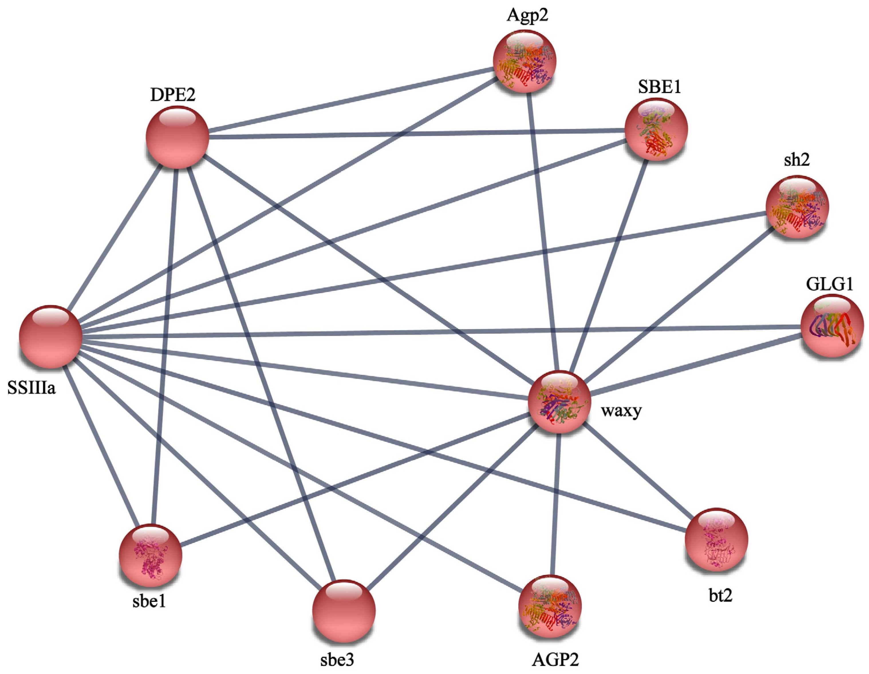Agronomy 12 01359 g006