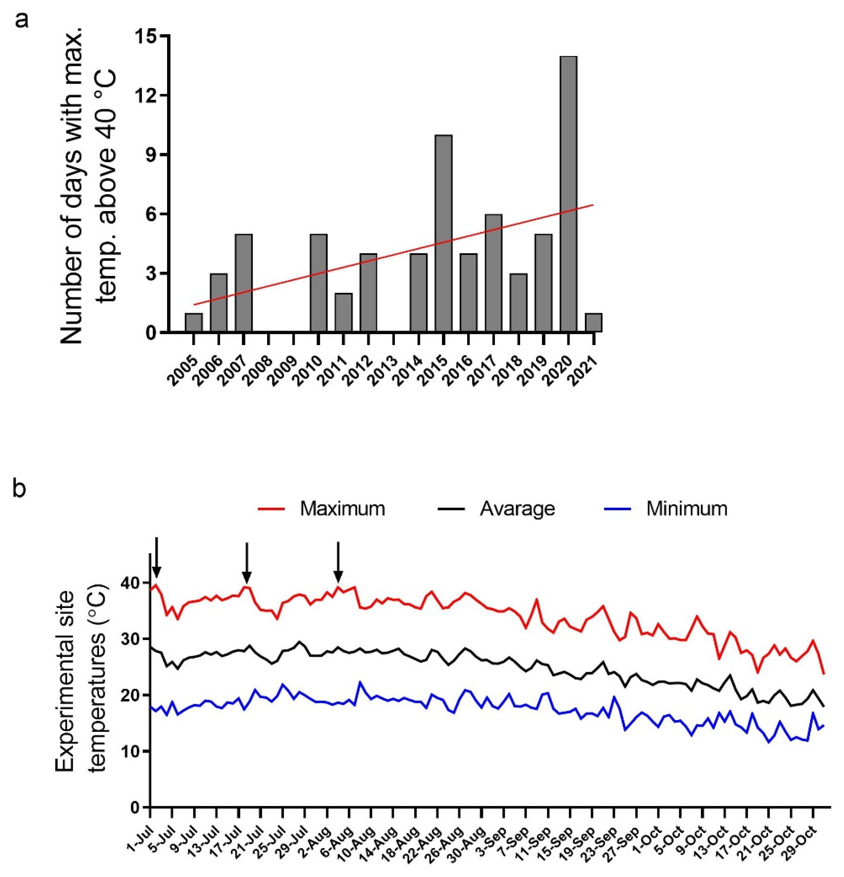 Agronomy 12 01360 g001