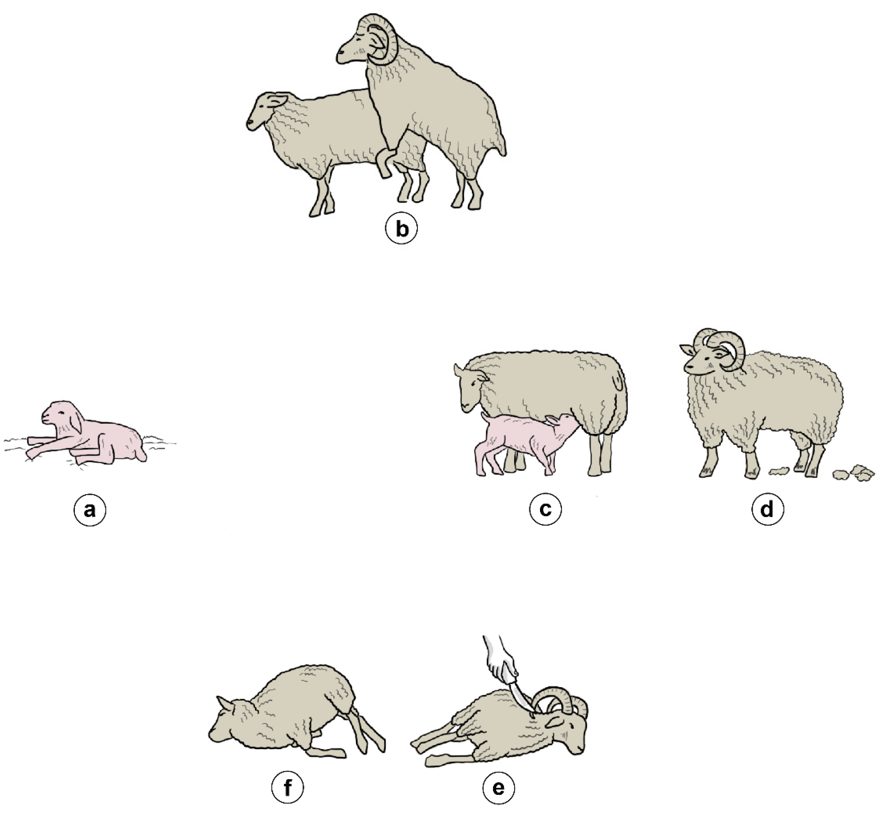 Agronomy 12 01368 g003 Agronomy 12 01368 g003