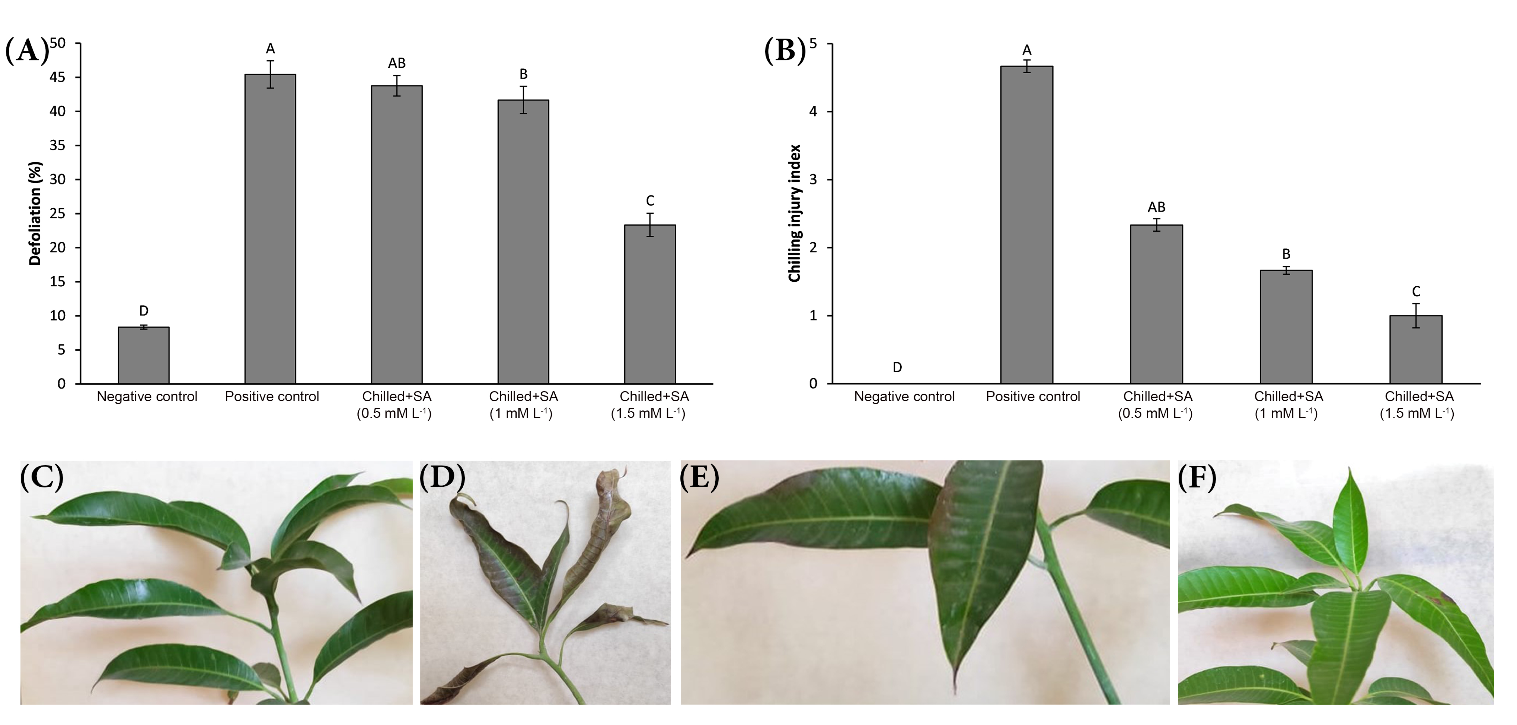 Agronomy 12 01369 g002 Agronomy 12 01369 g002