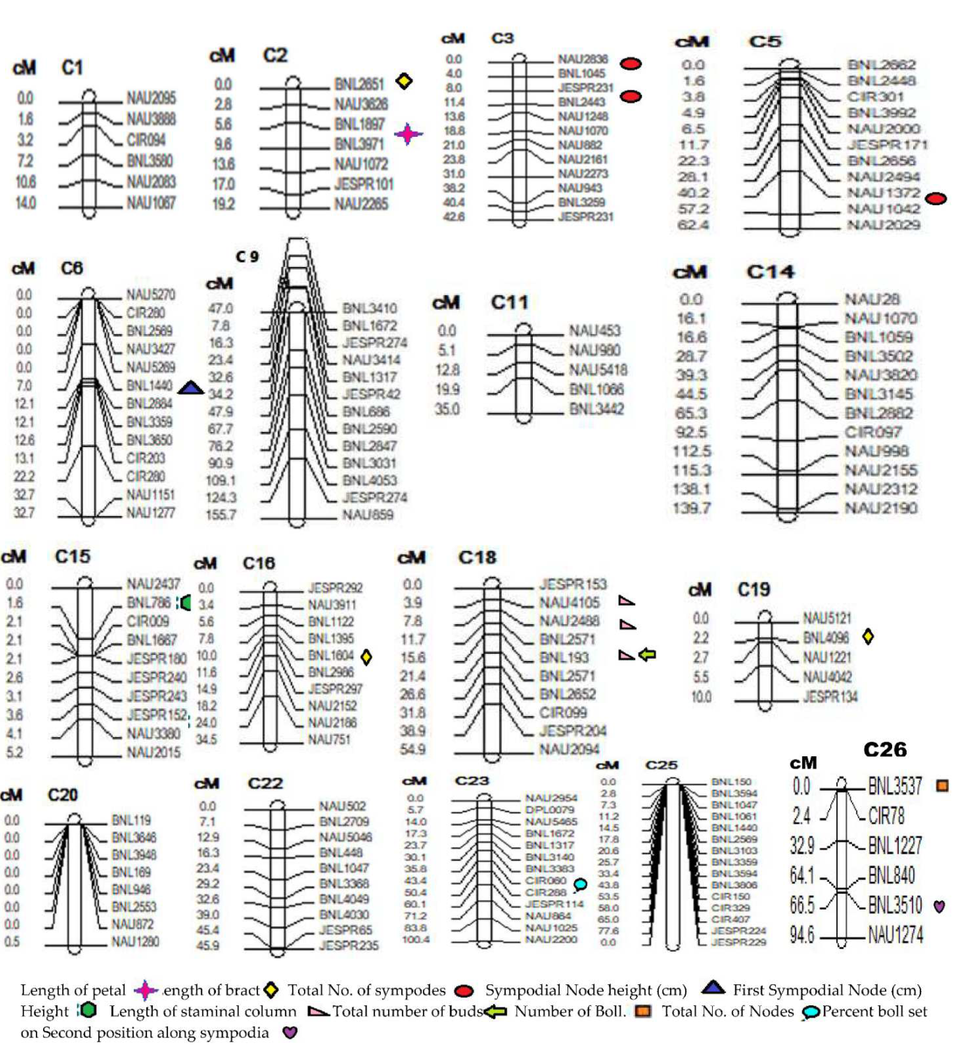 Agronomy 12 01381 g004
