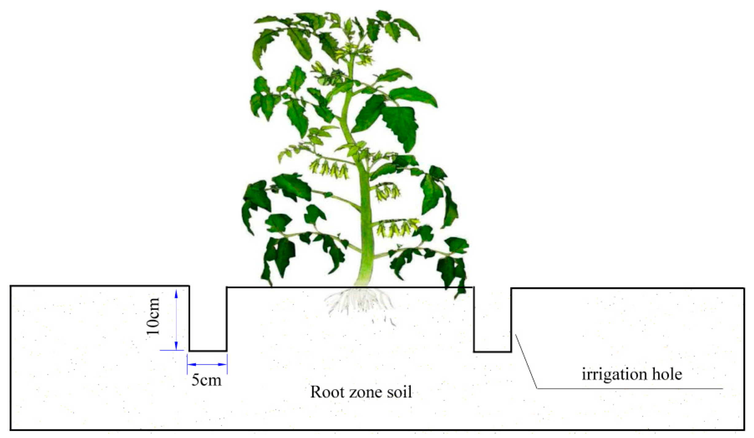 Agronomy 12 01391 g002