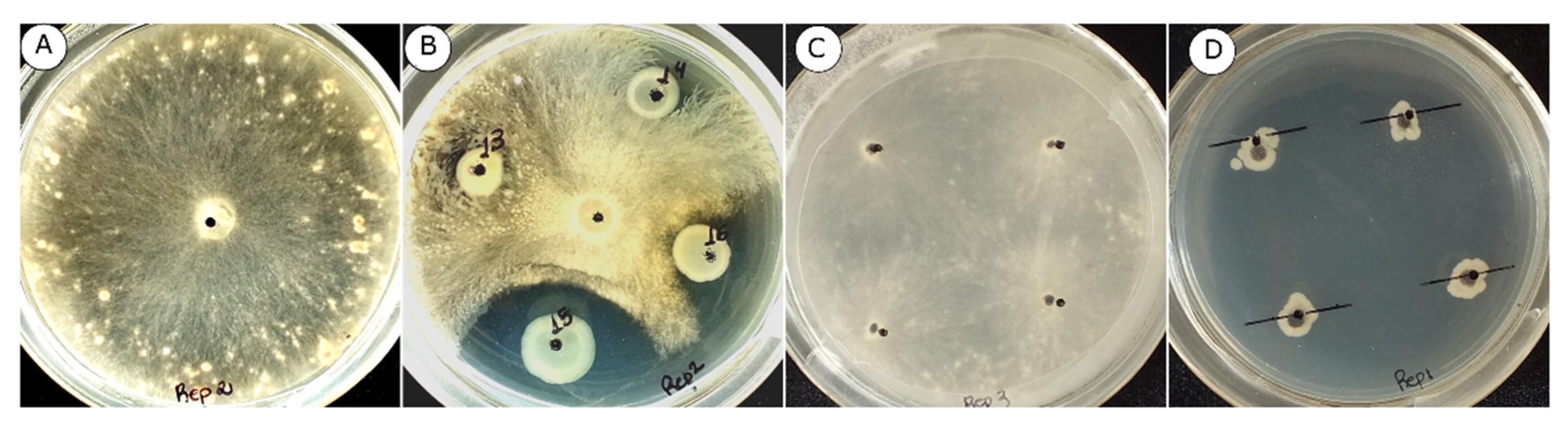 Agronomy 12 01395 g001 Agronomy 12 01395 g001
