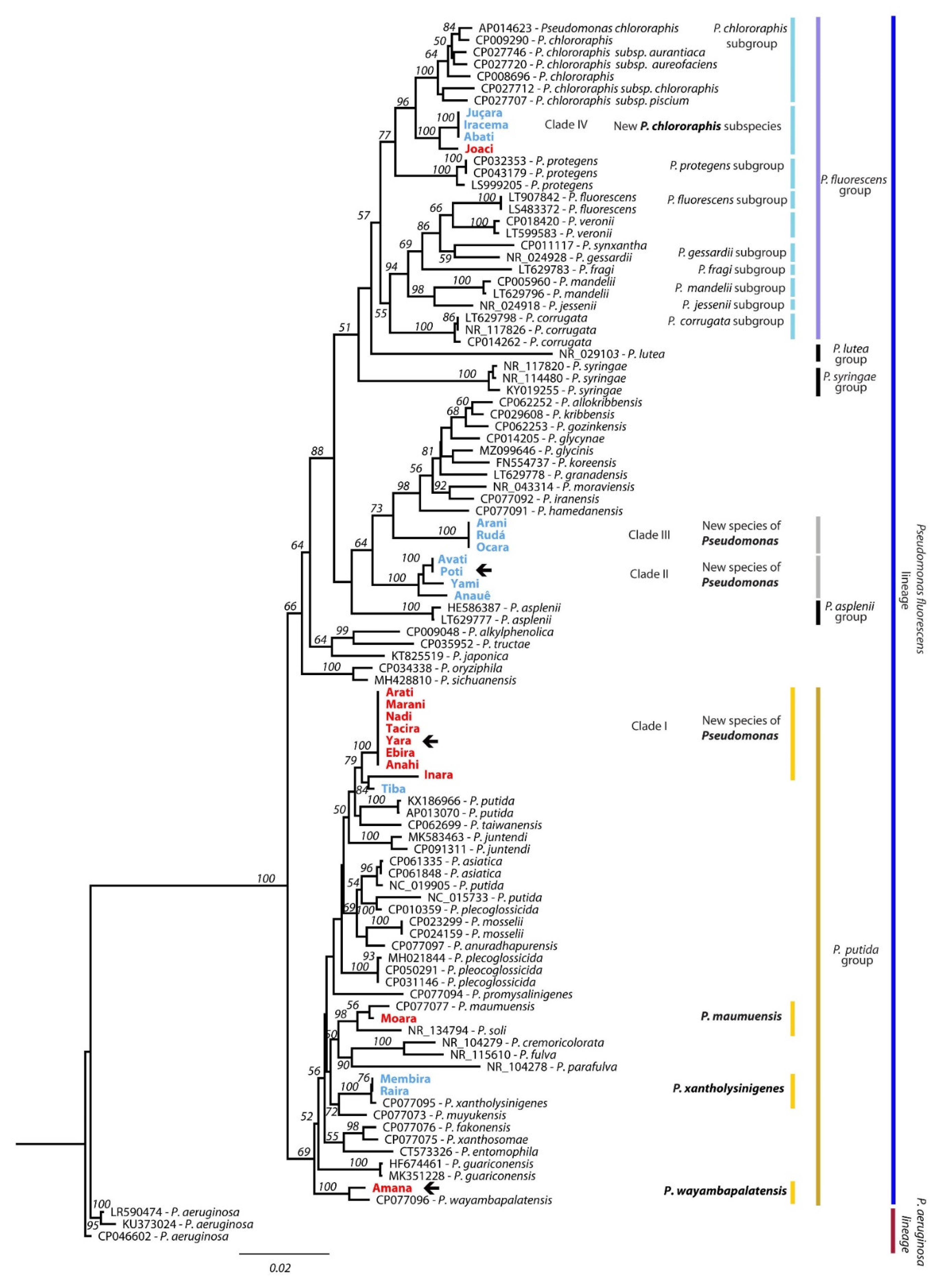 Agronomy 12 01395 g004 Agronomy 12 01395 g004