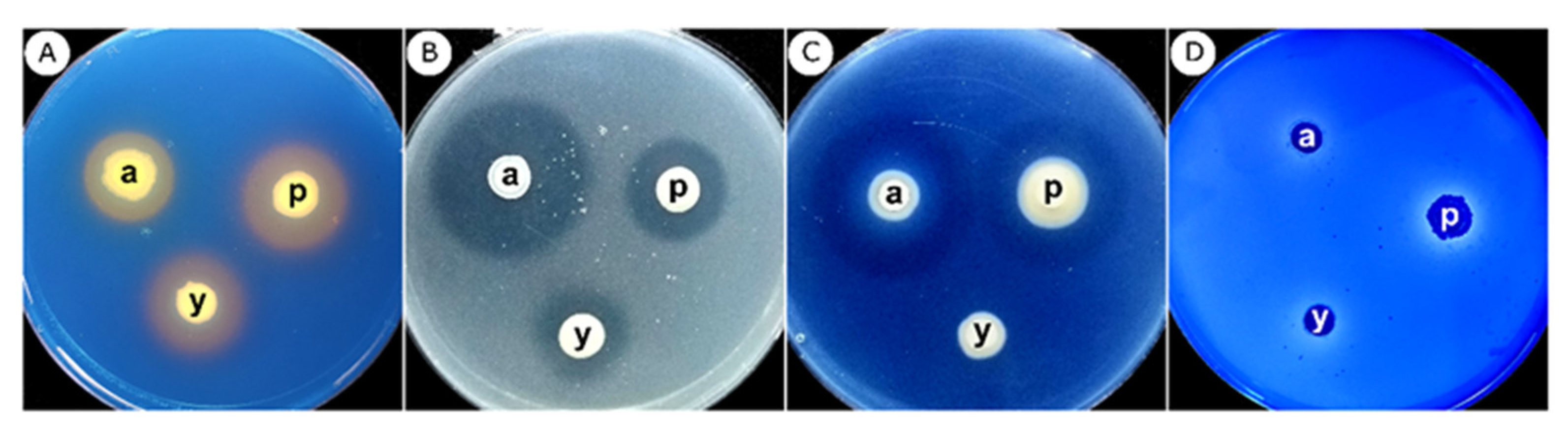 Agronomy 12 01395 g005 Agronomy 12 01395 g005