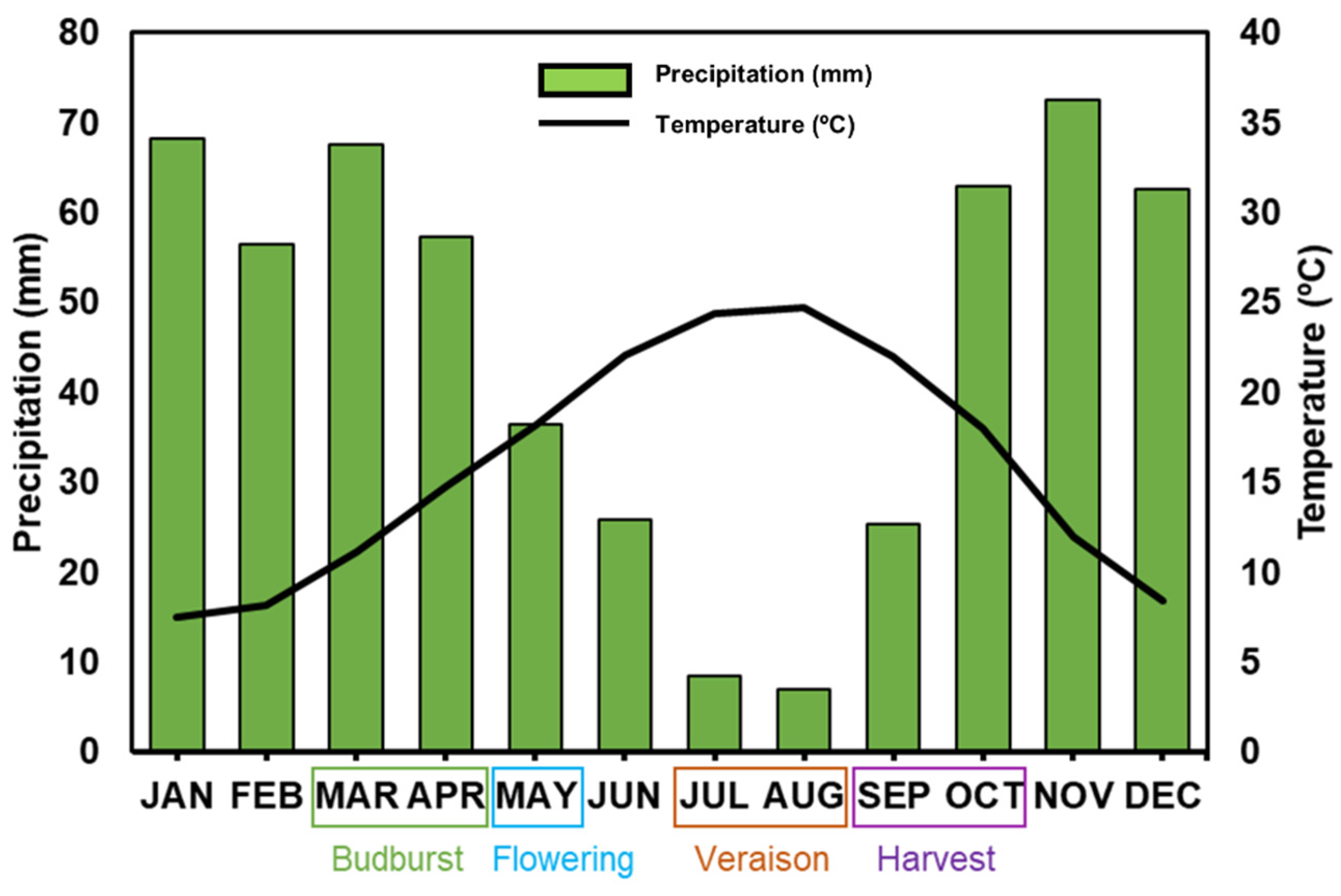 Agronomy 12 01404 g002