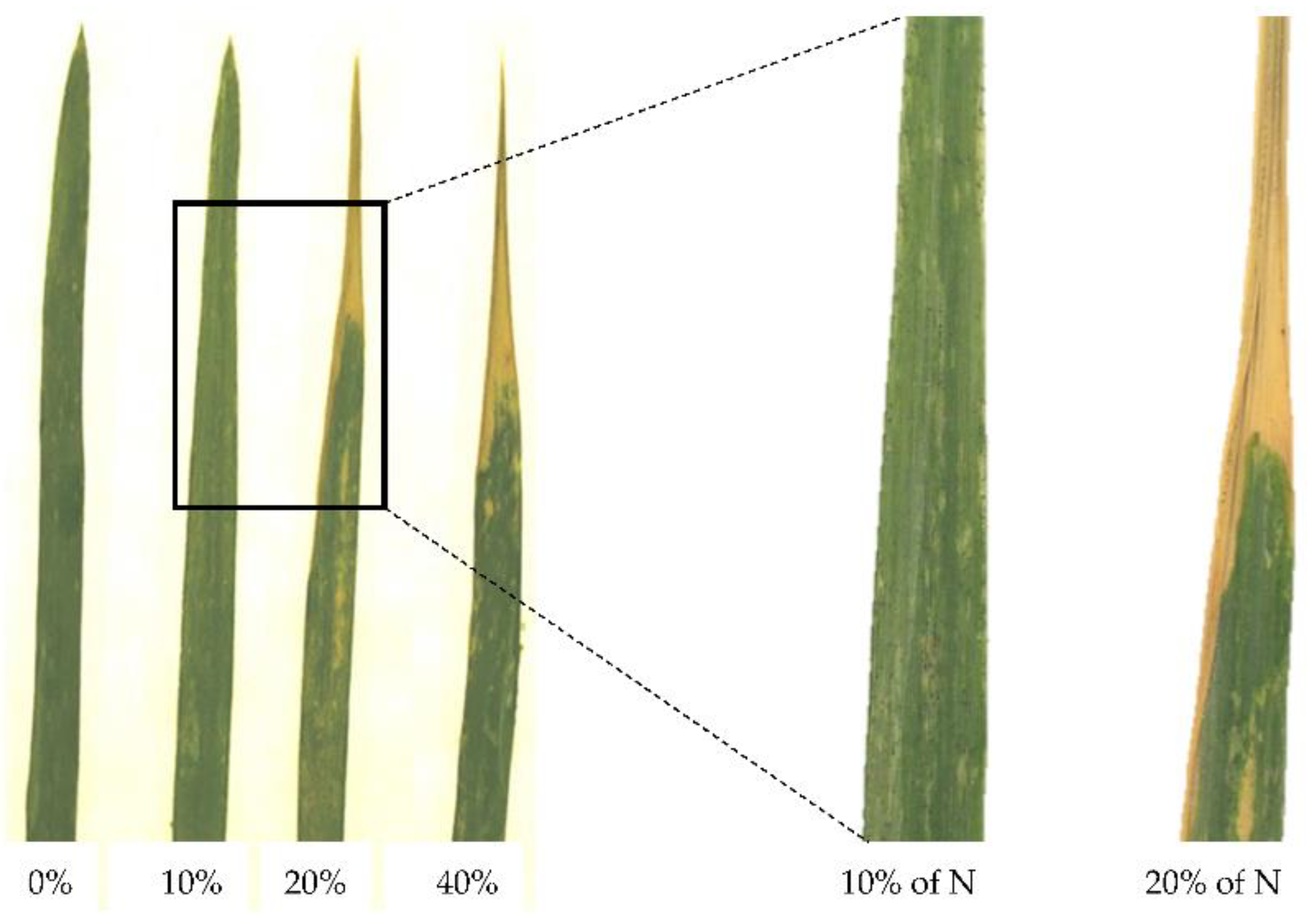 Agronomy 12 01405 g001
