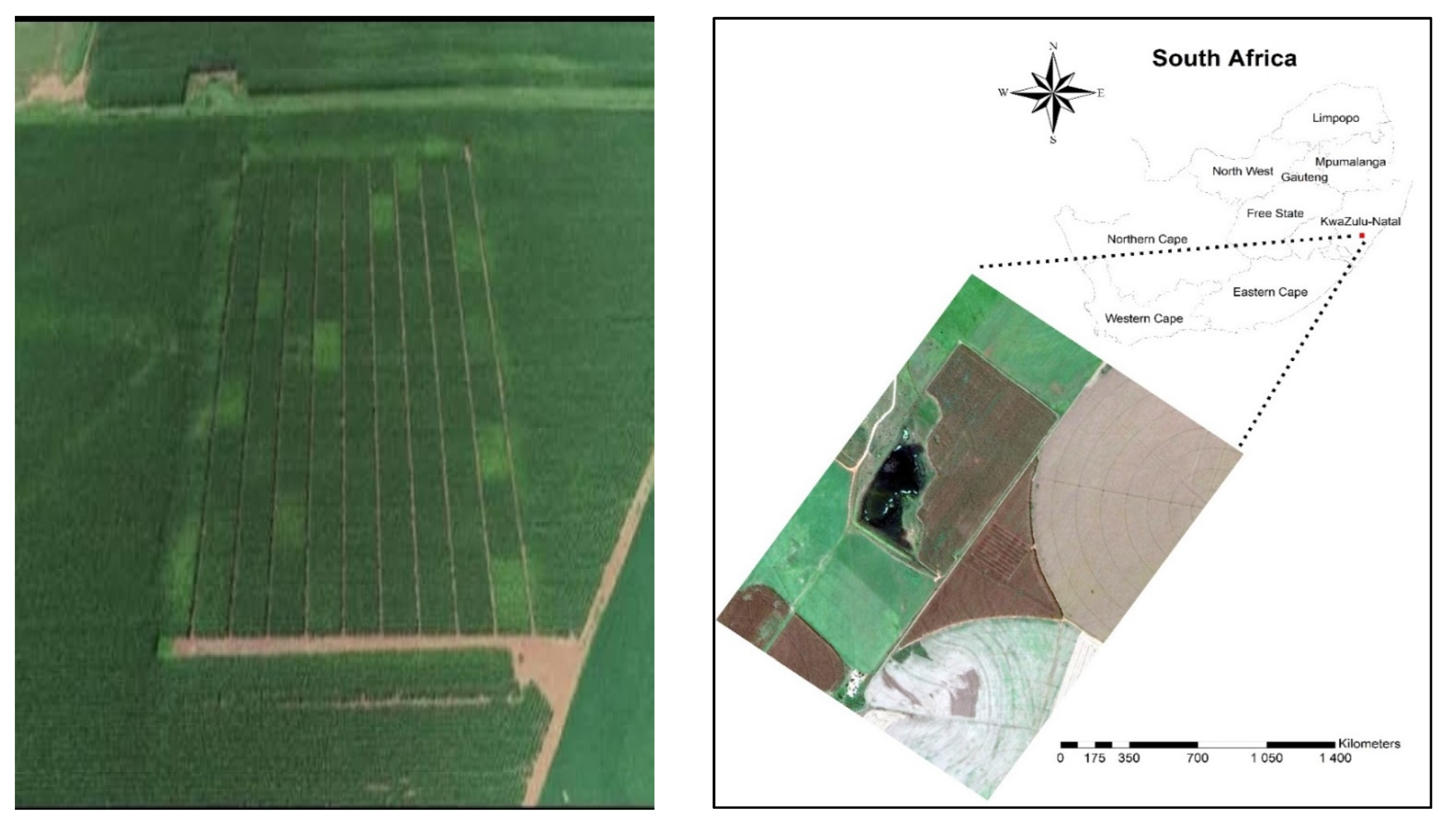 Agronomy 12 01411 g001