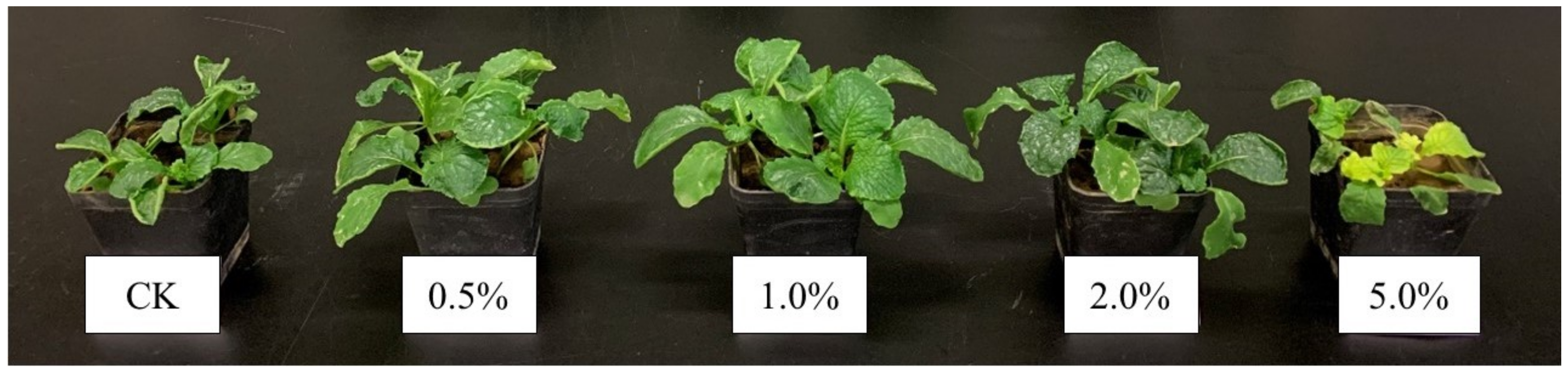 Agronomy 12 01413 g002