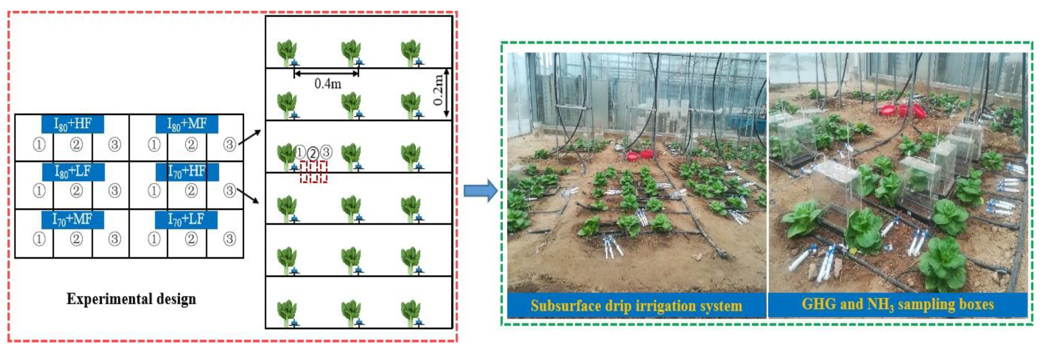 Agronomy 12 01414 g001