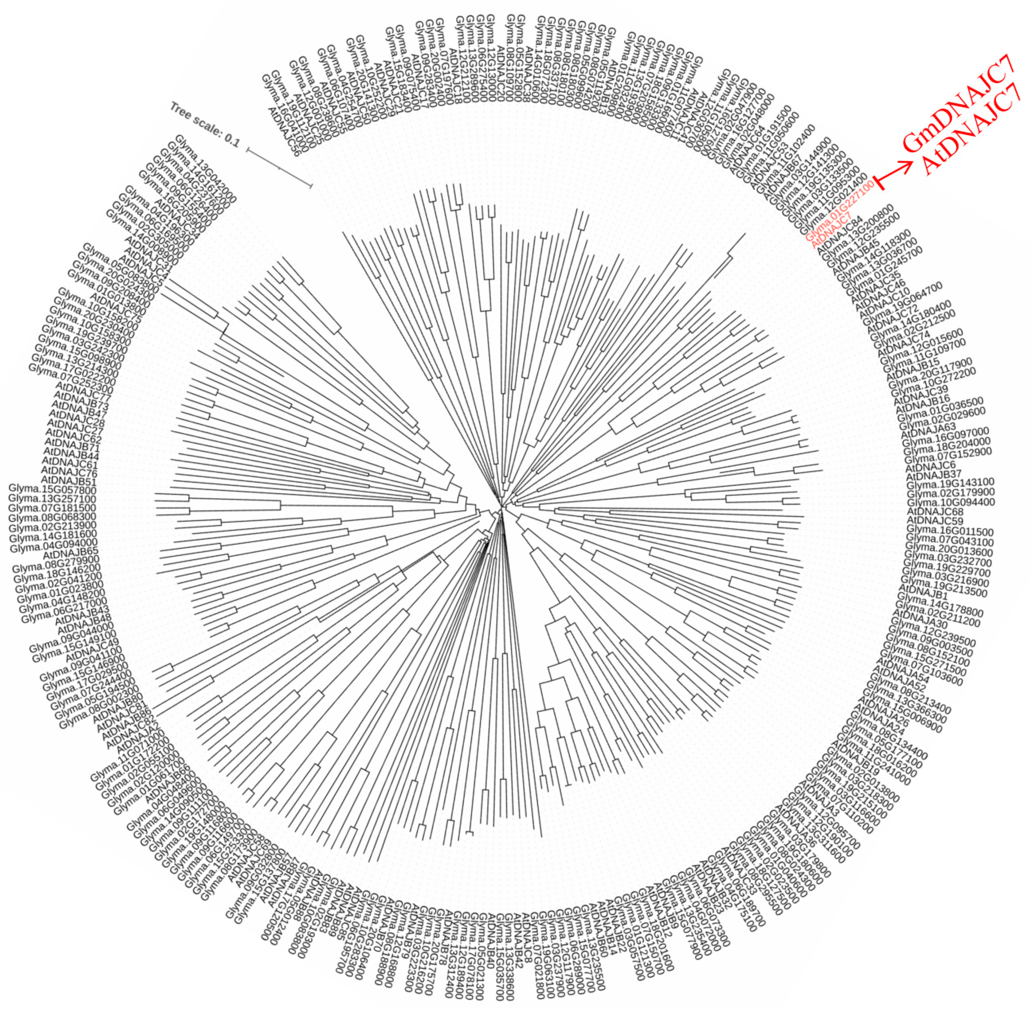 Agronomy 12 01419 g001