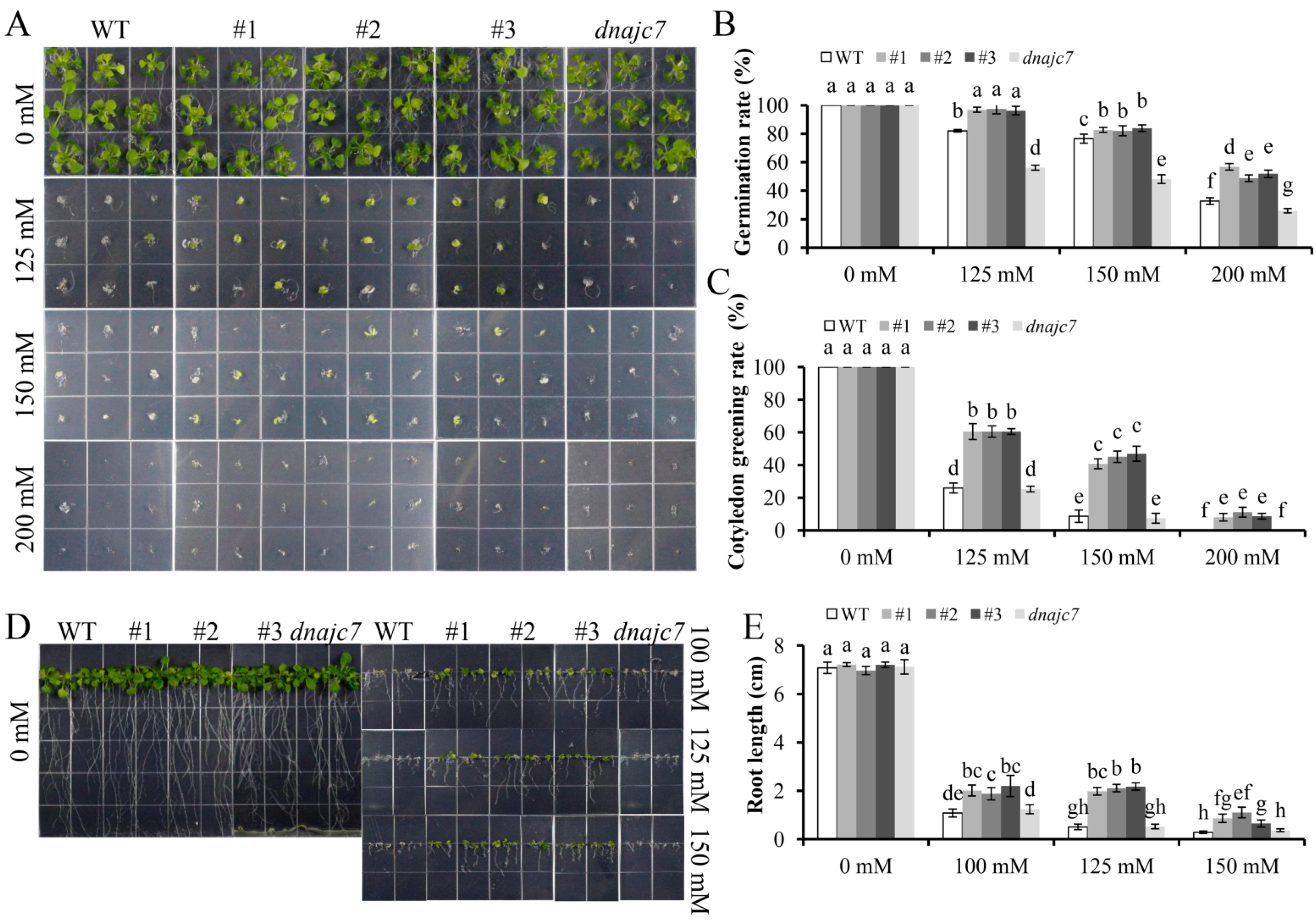 Agronomy 12 01419 g007