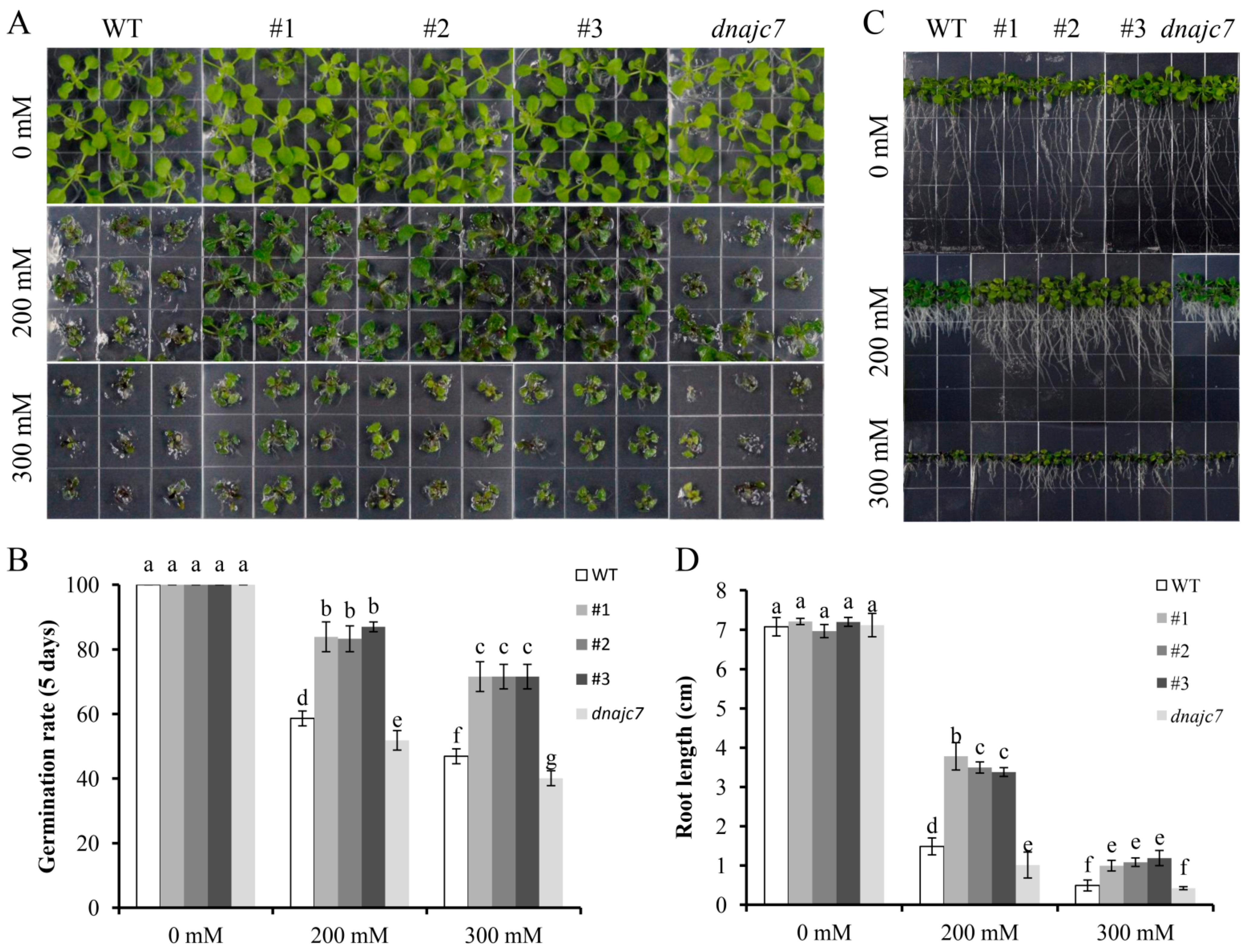 Agronomy 12 01419 g008