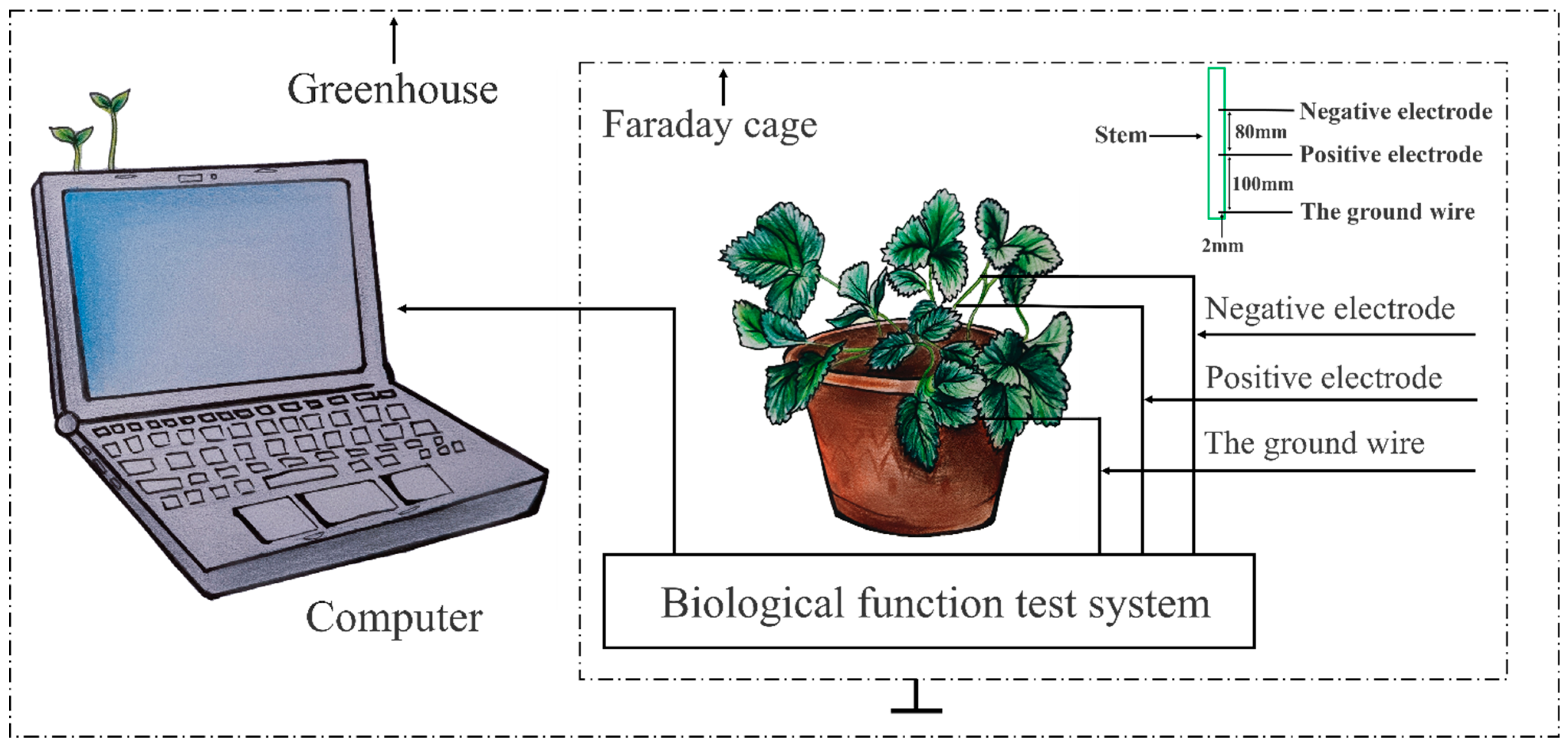 Agronomy 12 01428 g002