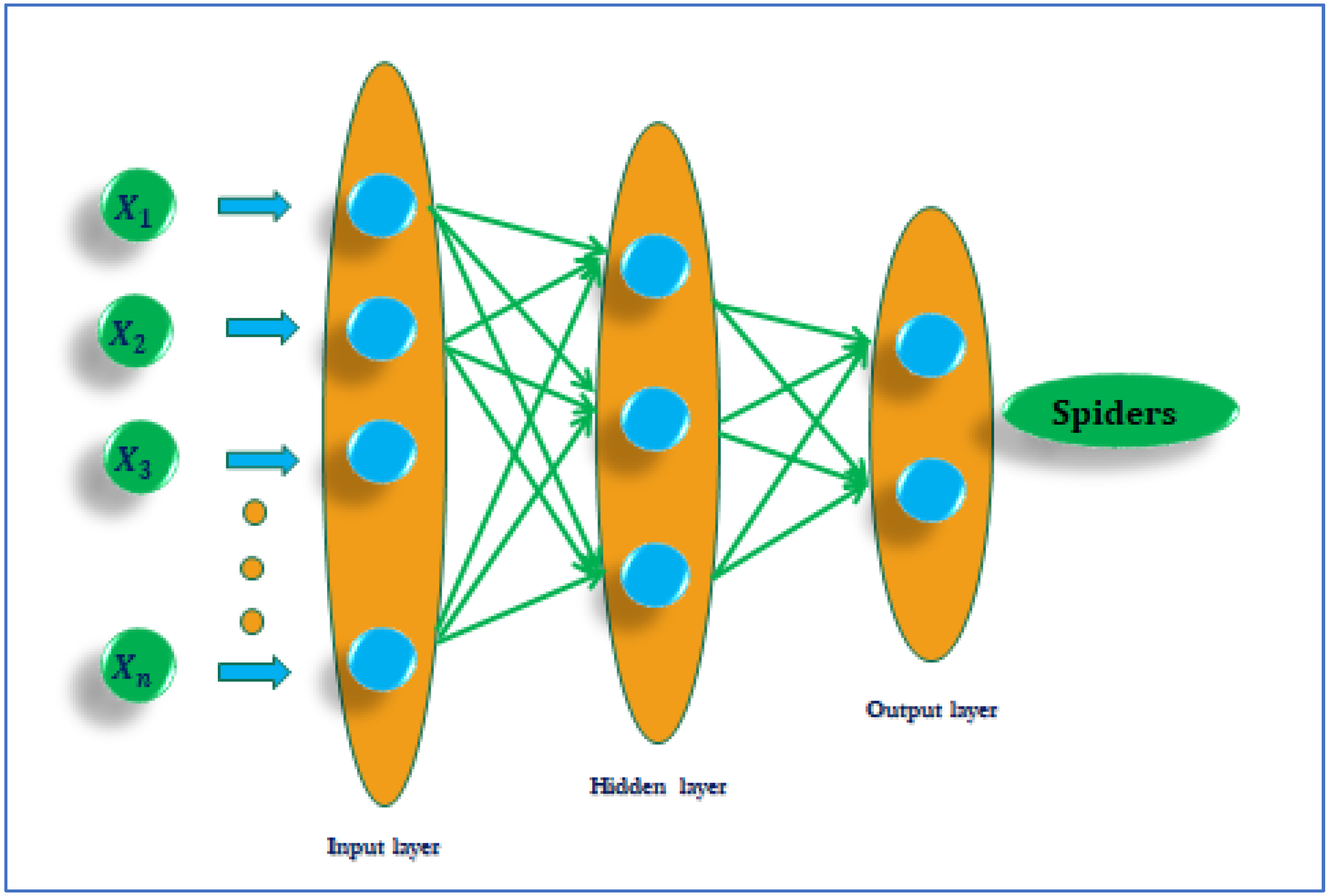 Agronomy 12 01429 g002