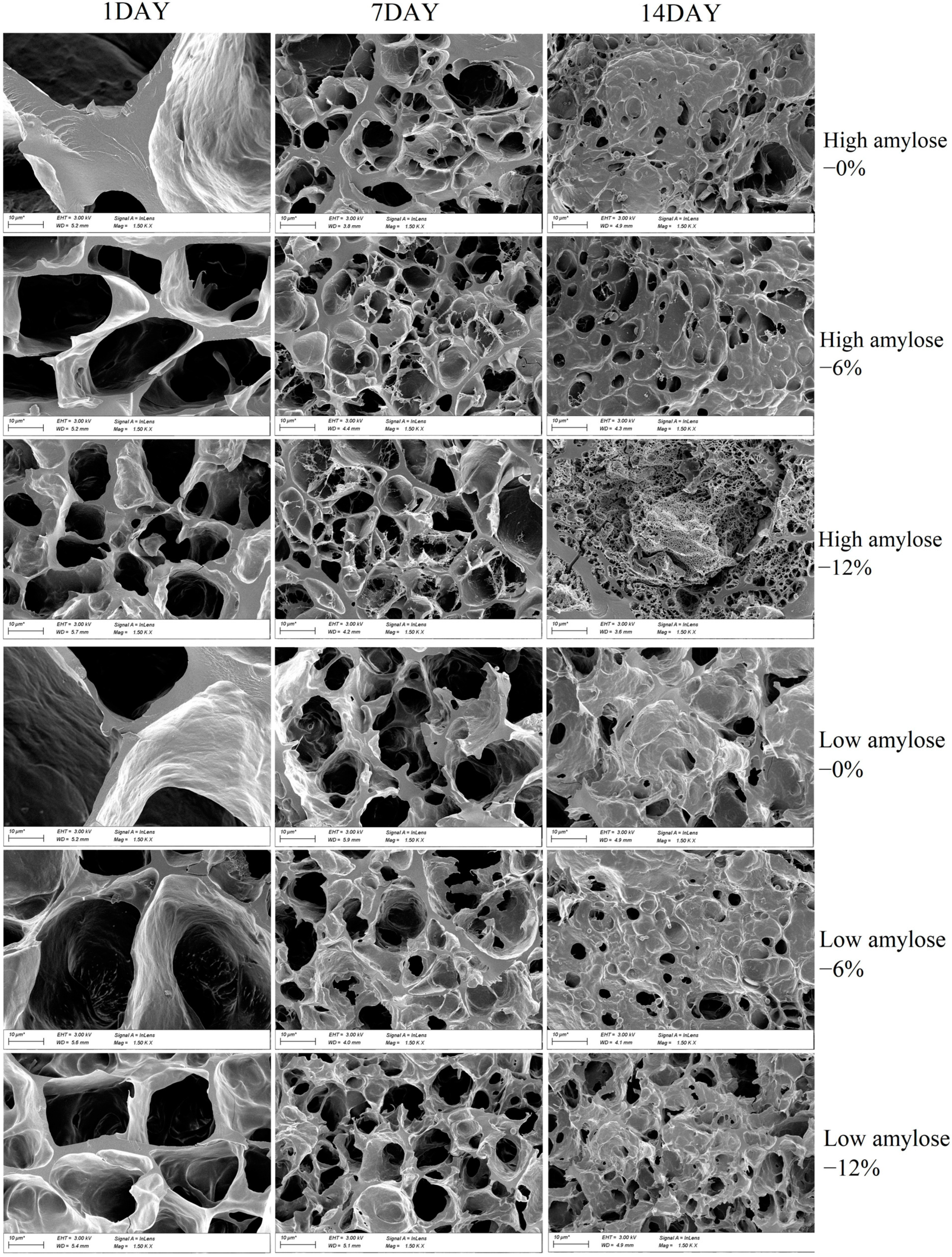 Agronomy 12 01431 g002