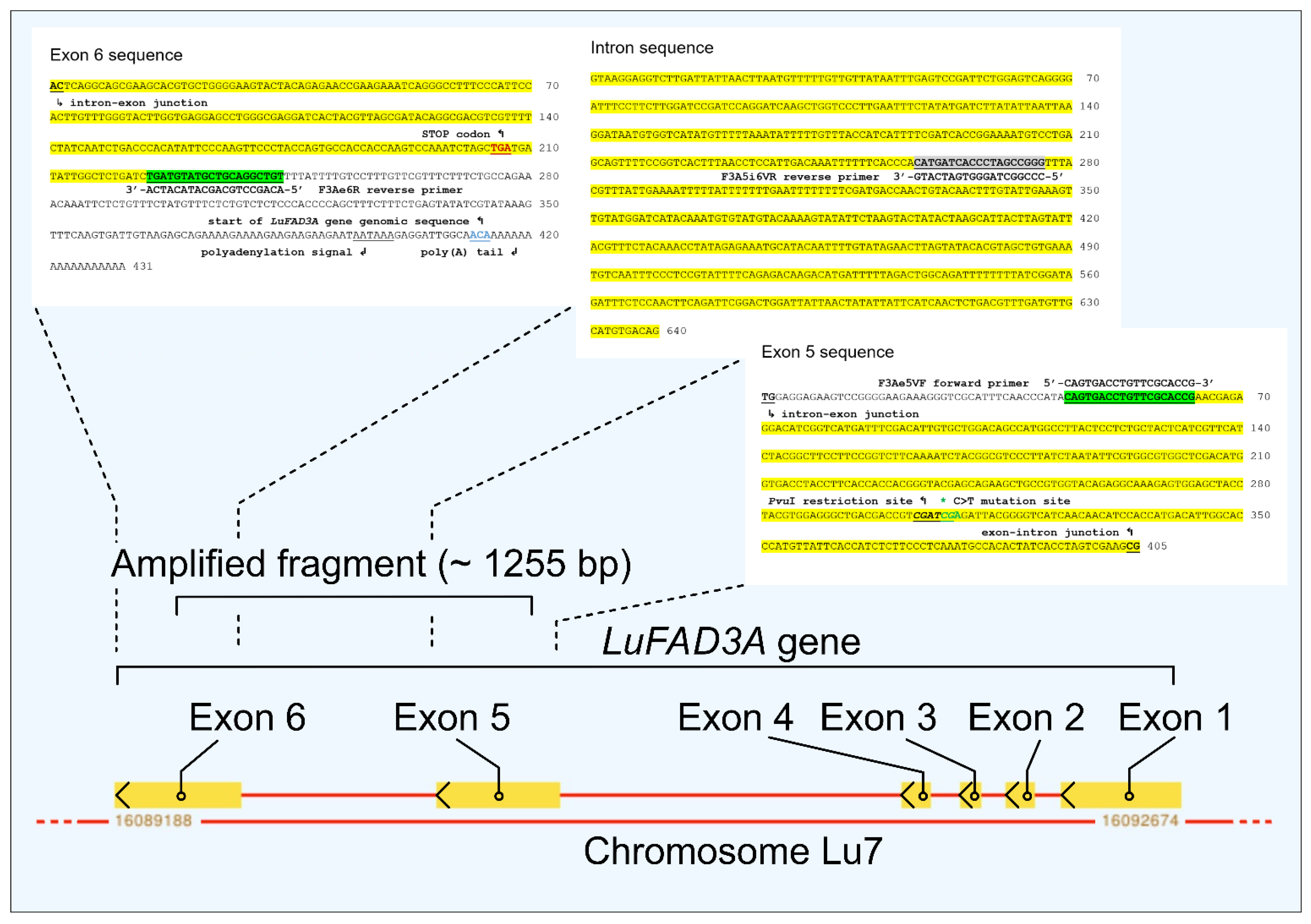 Agronomy 12 01432 g002