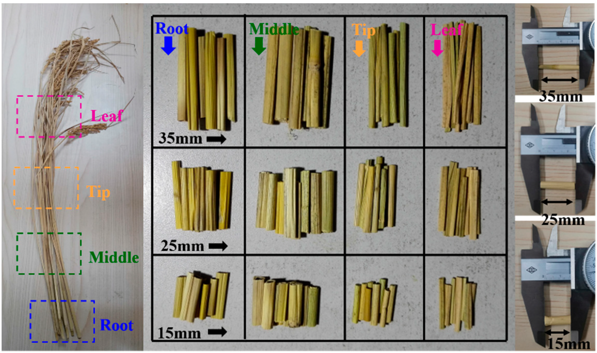 Agronomy 12 01439 g002
