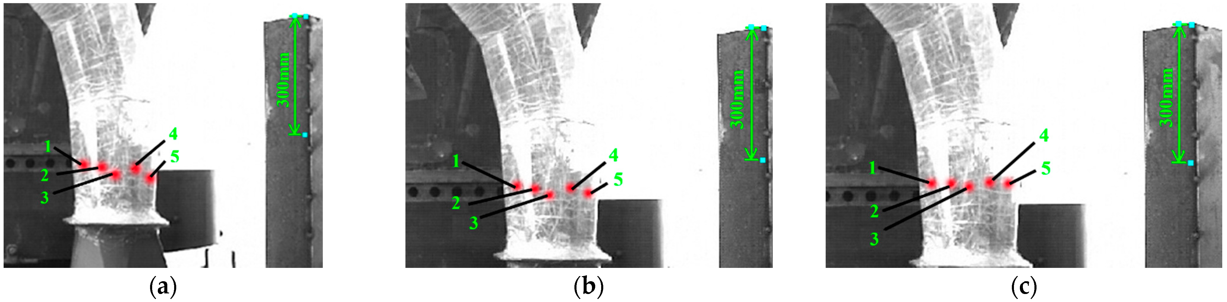 Agronomy 12 01439 g016