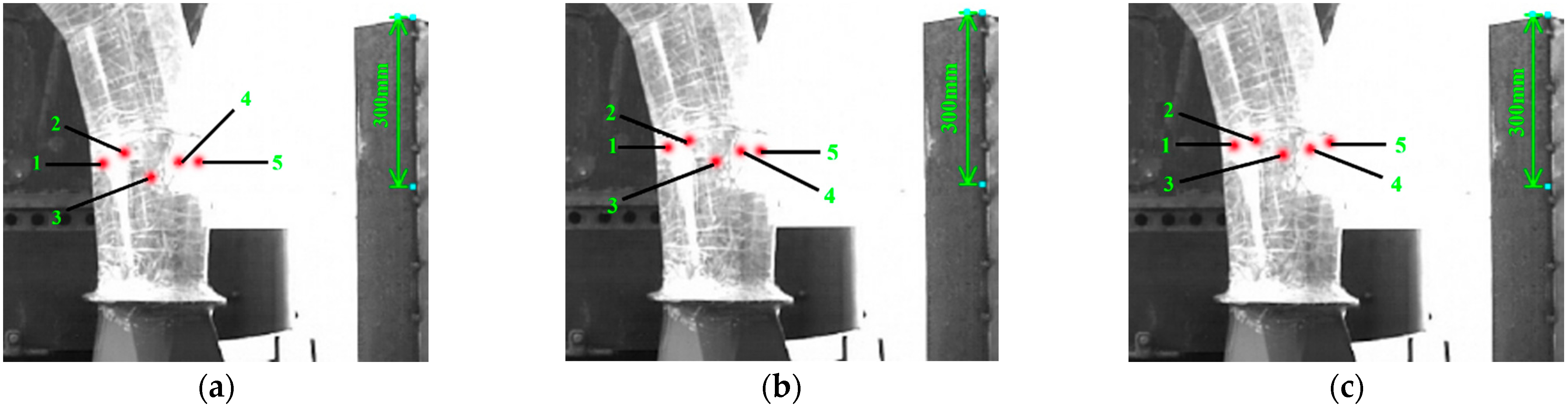 Agronomy 12 01439 g017