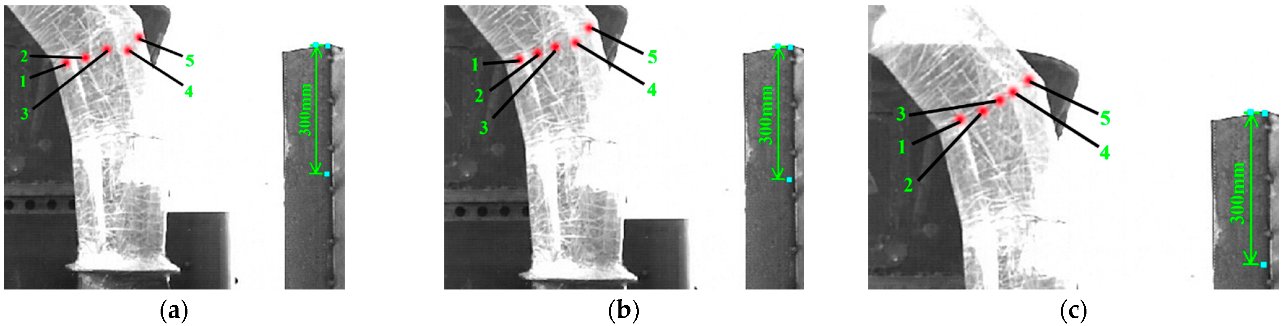 Agronomy 12 01439 g018